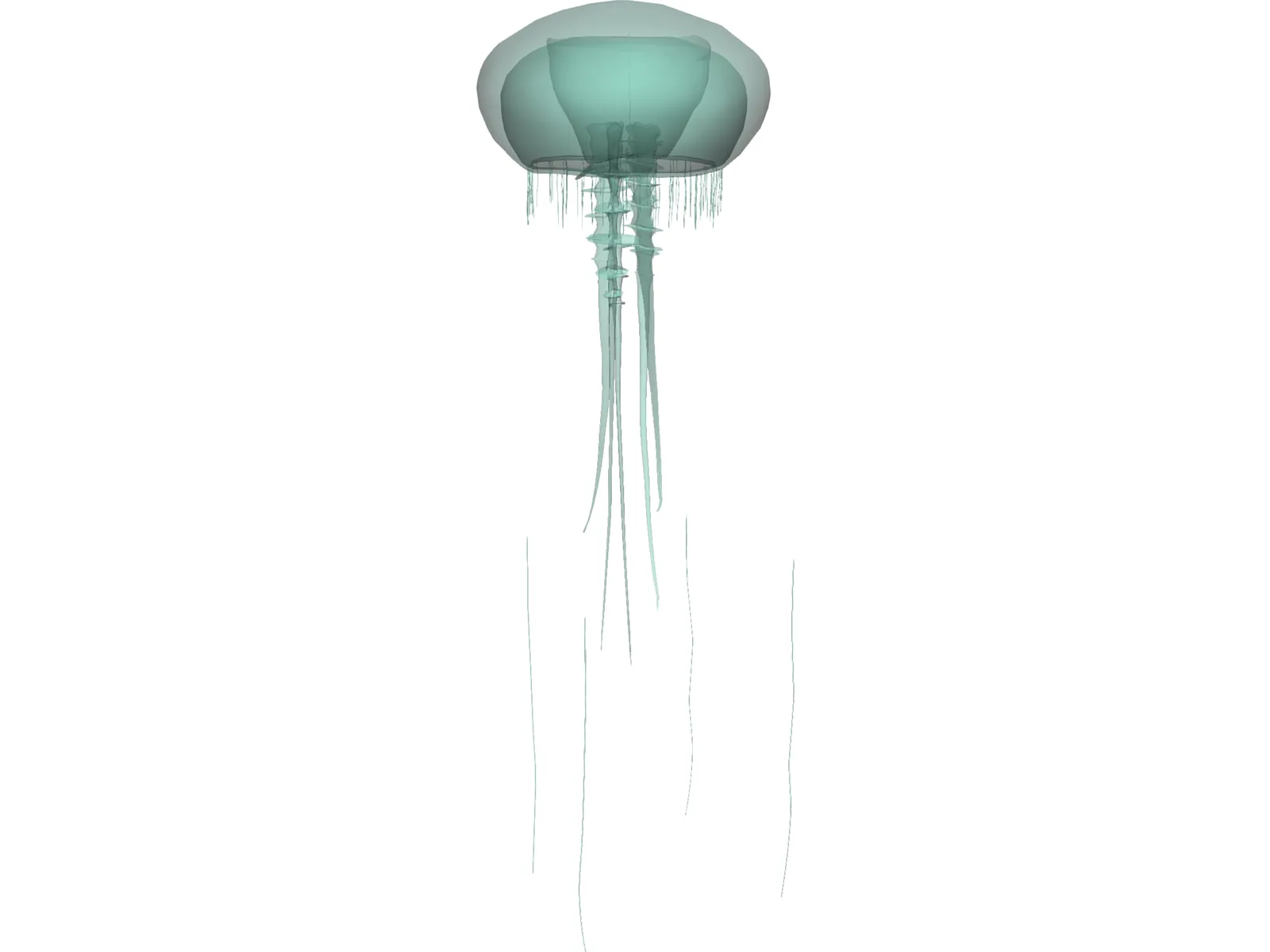 Jellyfish 3D Model