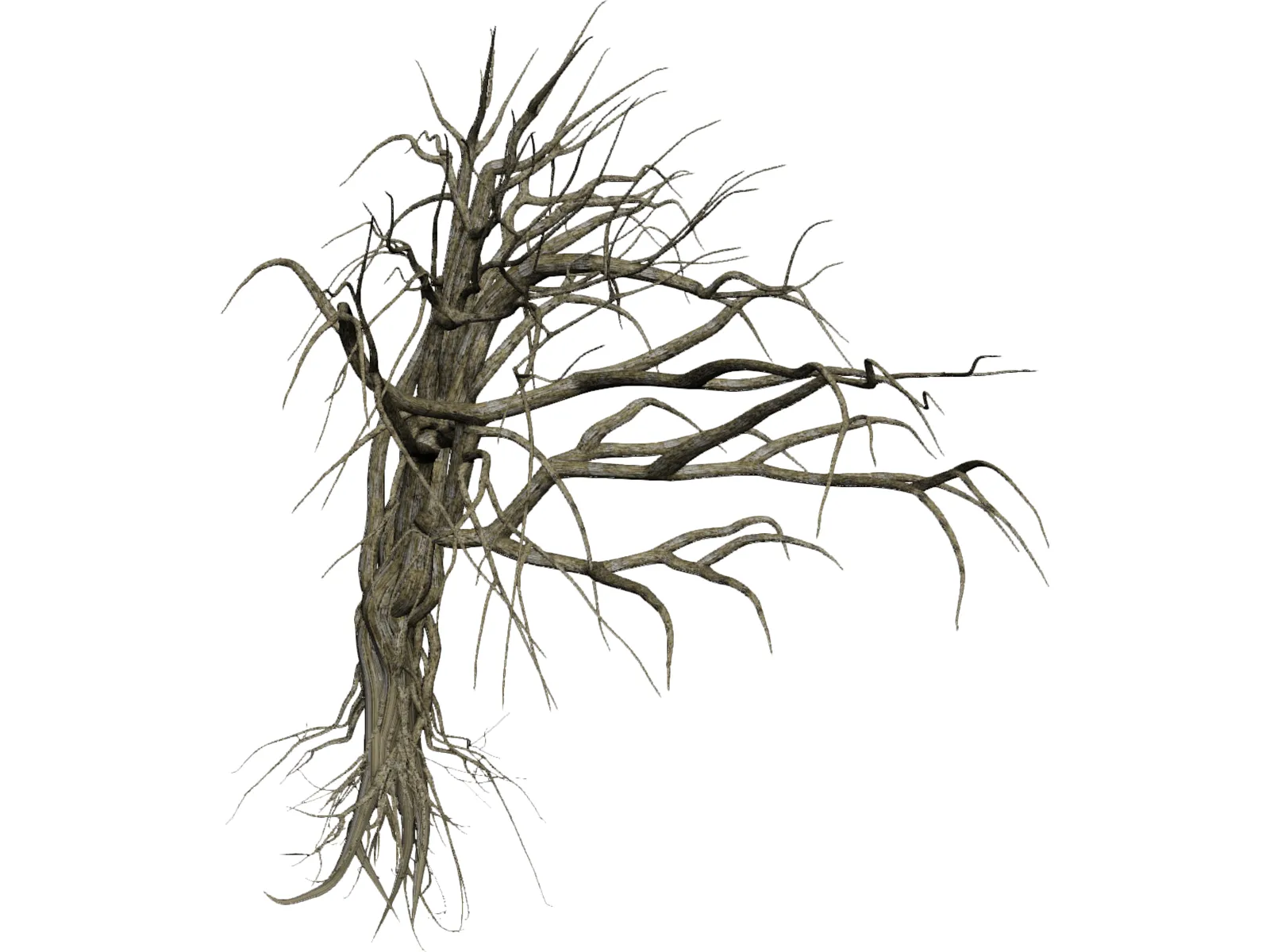 Dry Old Tree 3D Model