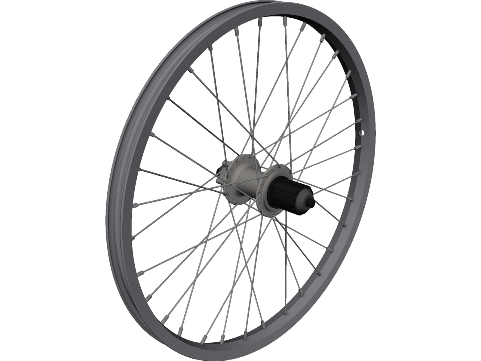 Rear Wheel 20 Inch 3D Model