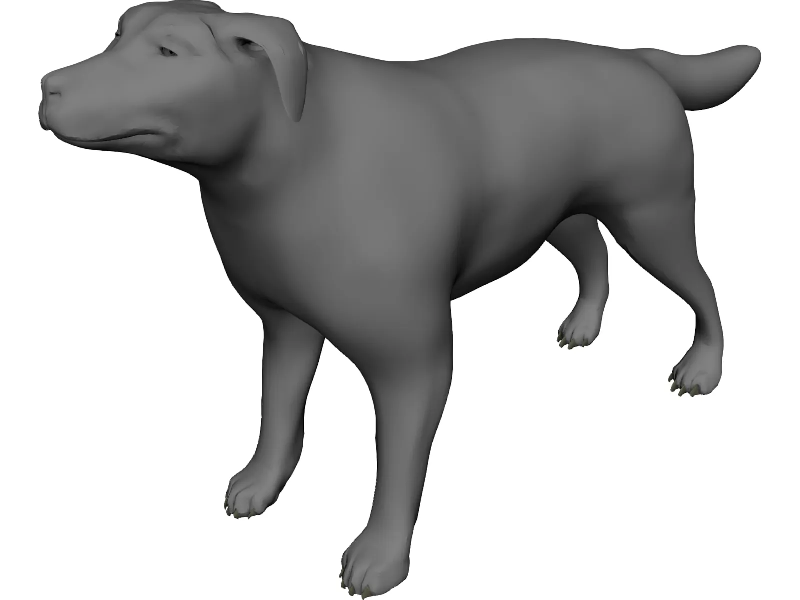 Dog 3D Model