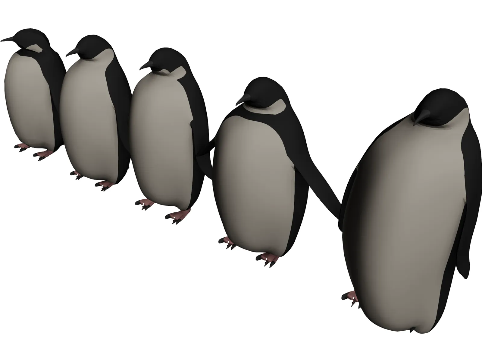 Penguins 3D Model