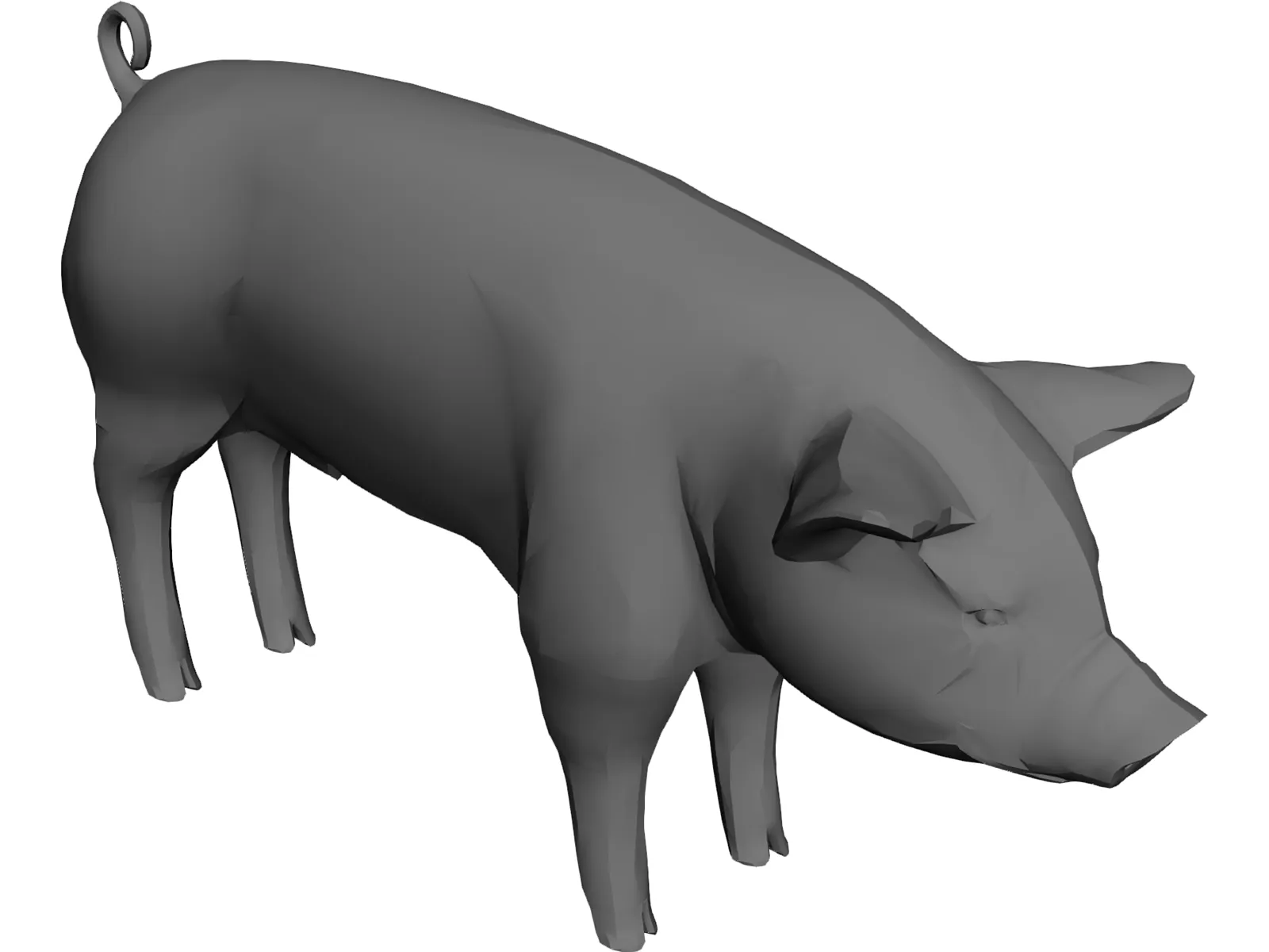 Pig 3D Model