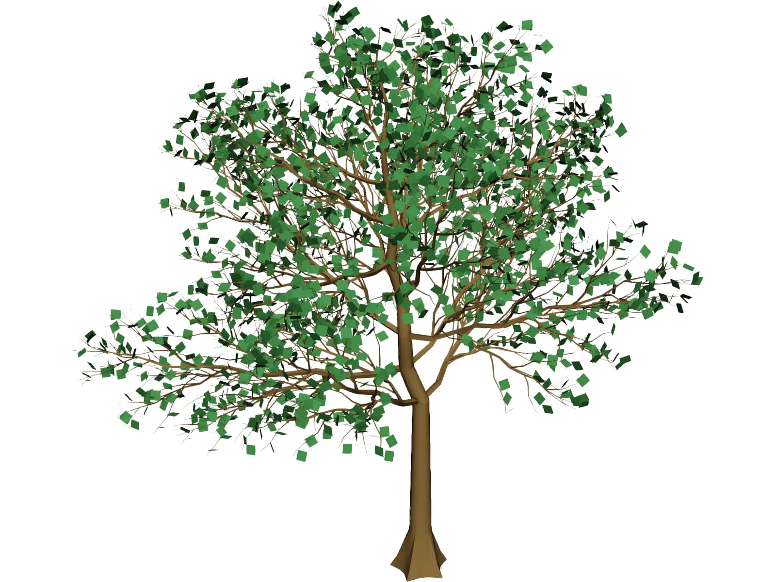 Arboli Tree 3D Model