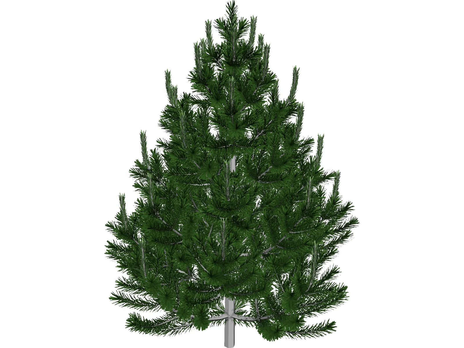 Pine Tree 3D Model