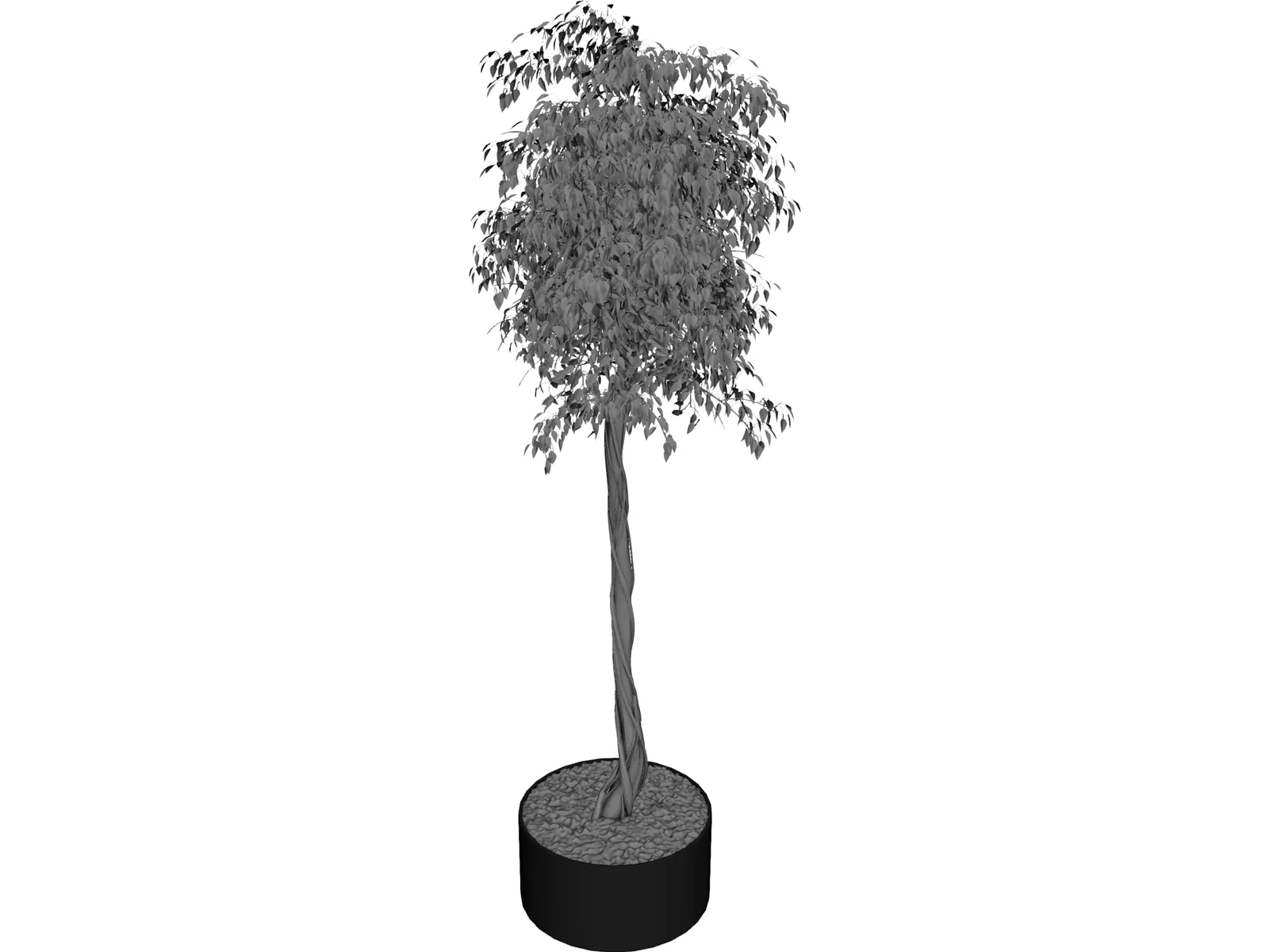 Arbol Tree 3D Model