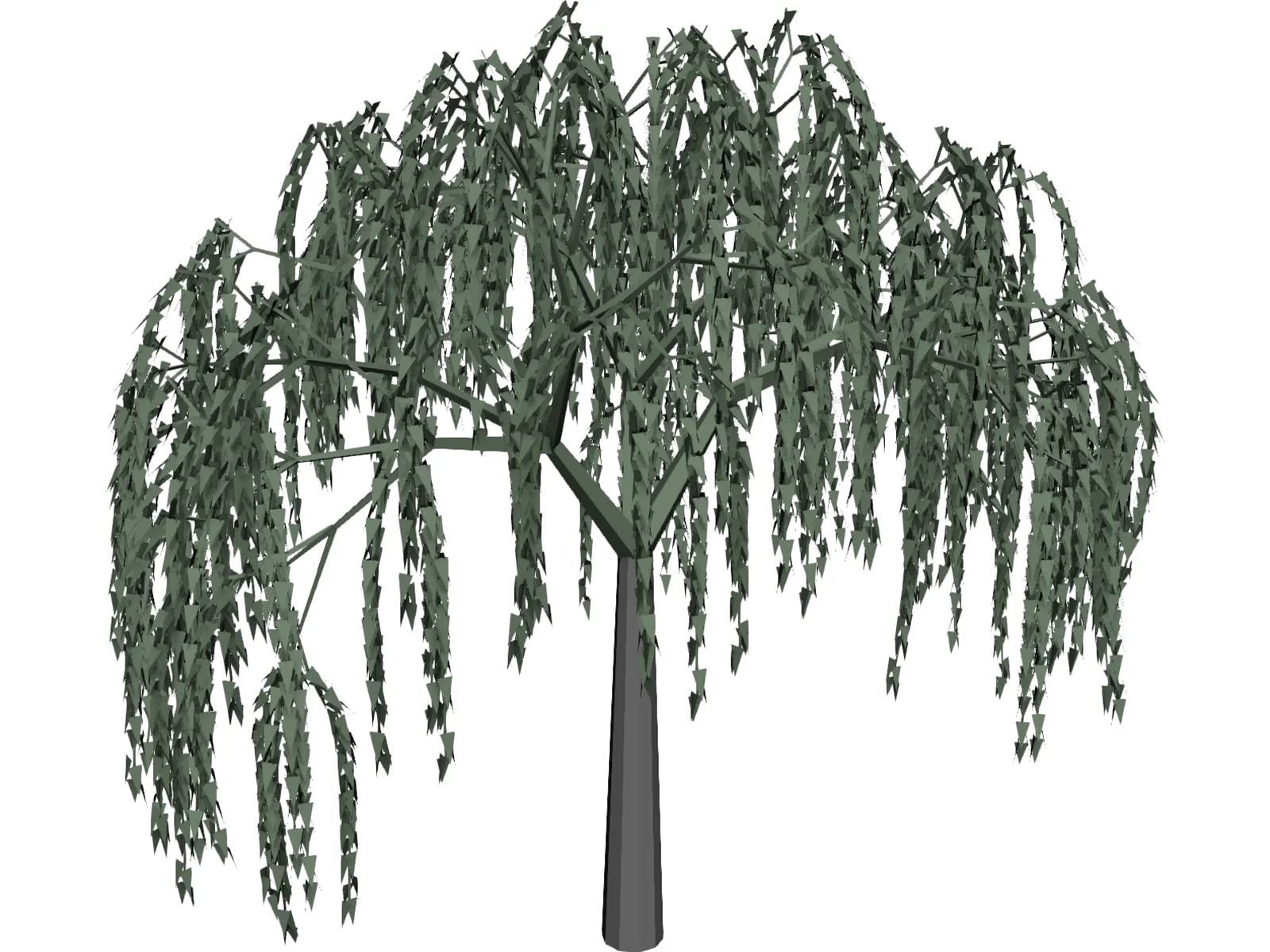 Willow Tree 3D Model