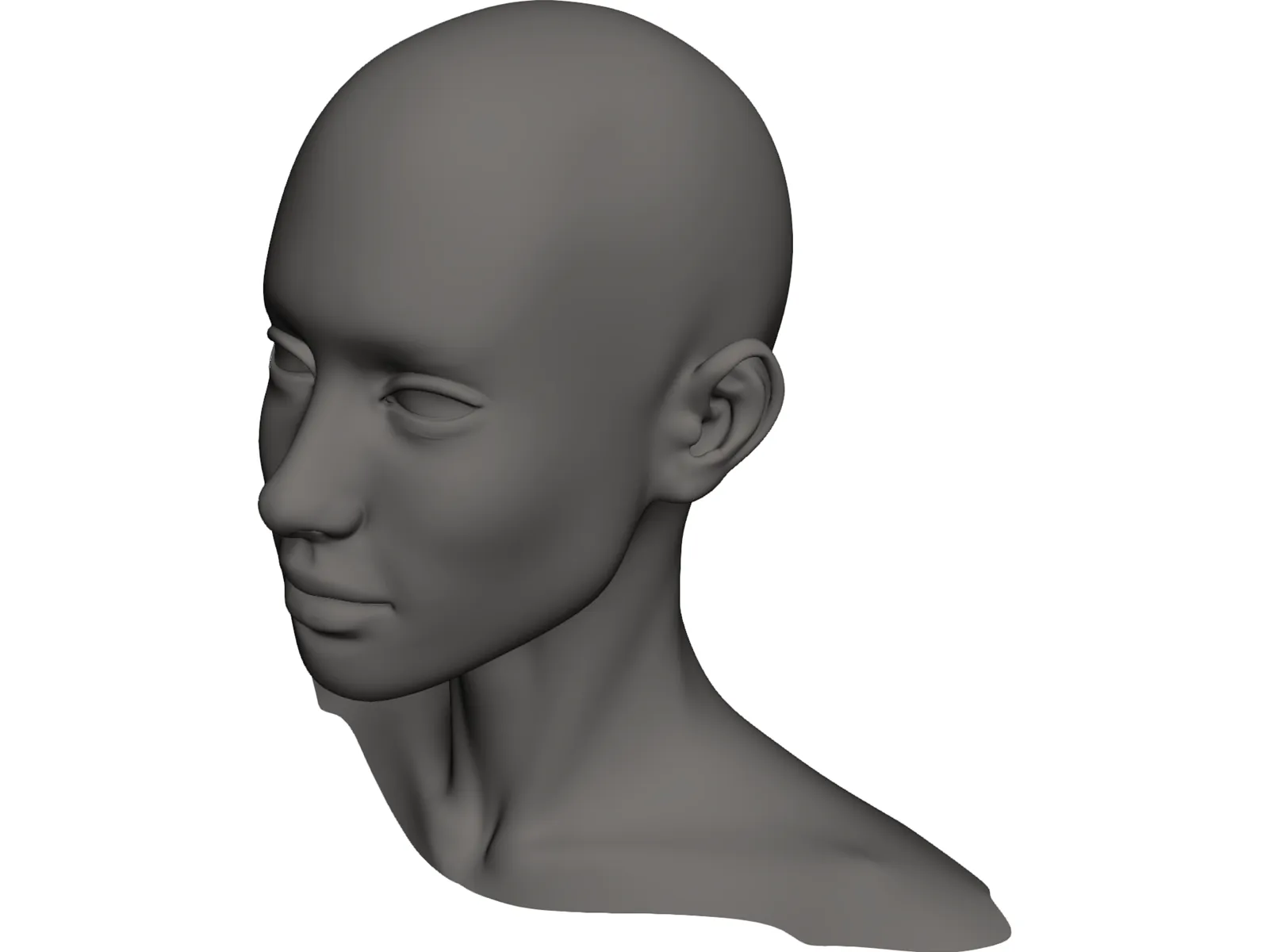 Head Female 3D Model