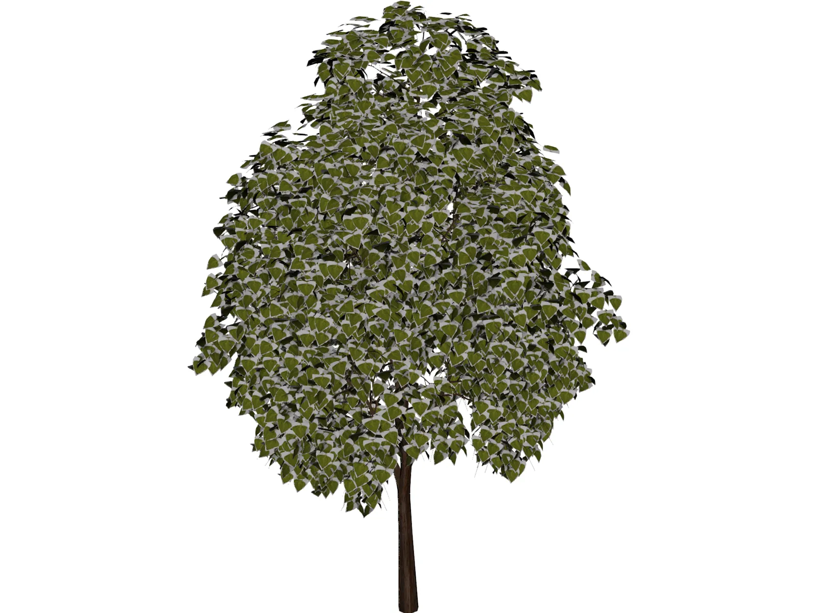 Pine Wood Tree 3D Model