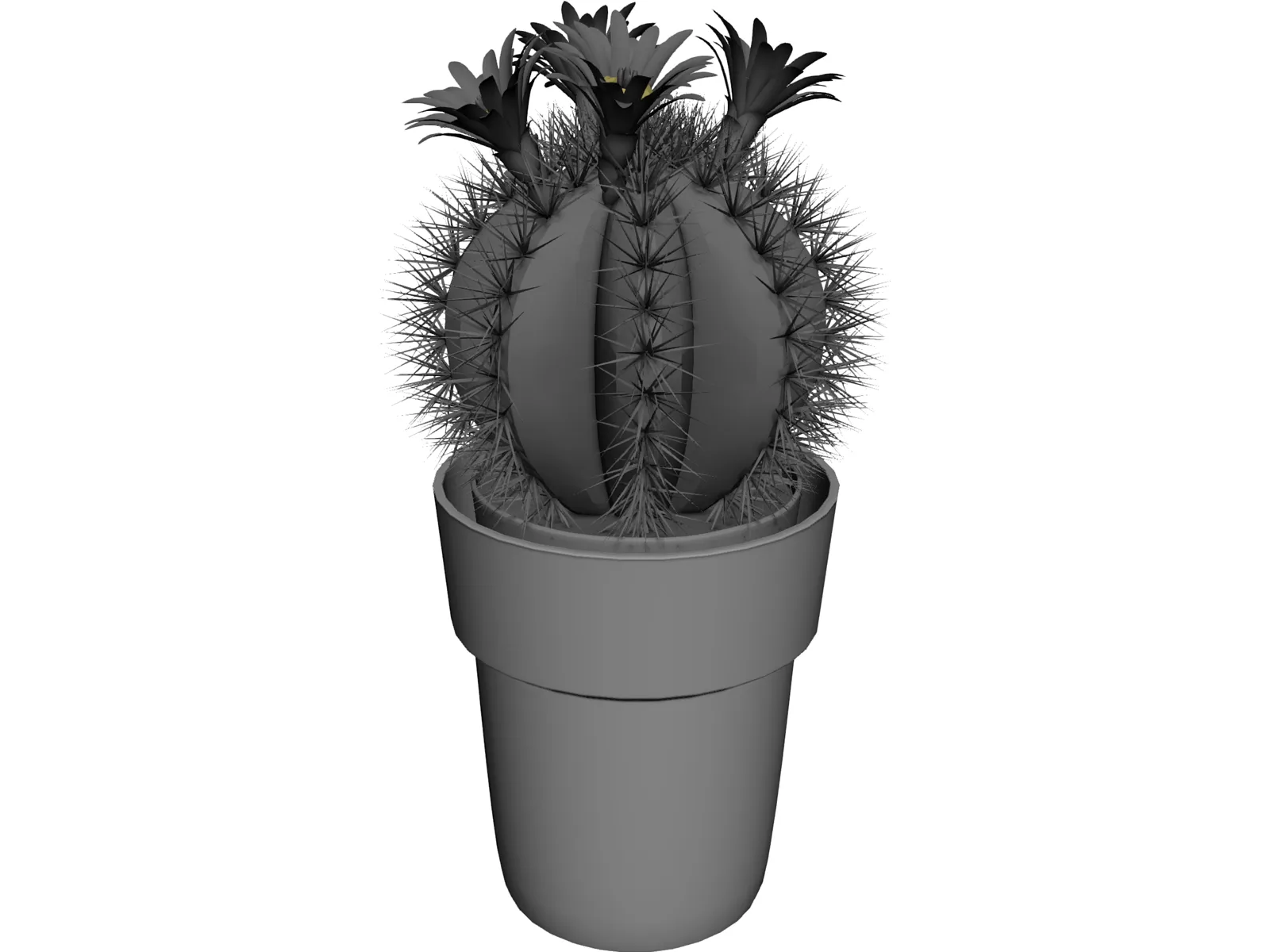 Cactus Pottet Round 3D Model