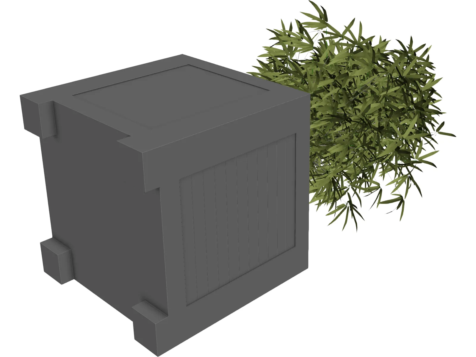 Bamboo Plant 3D Model