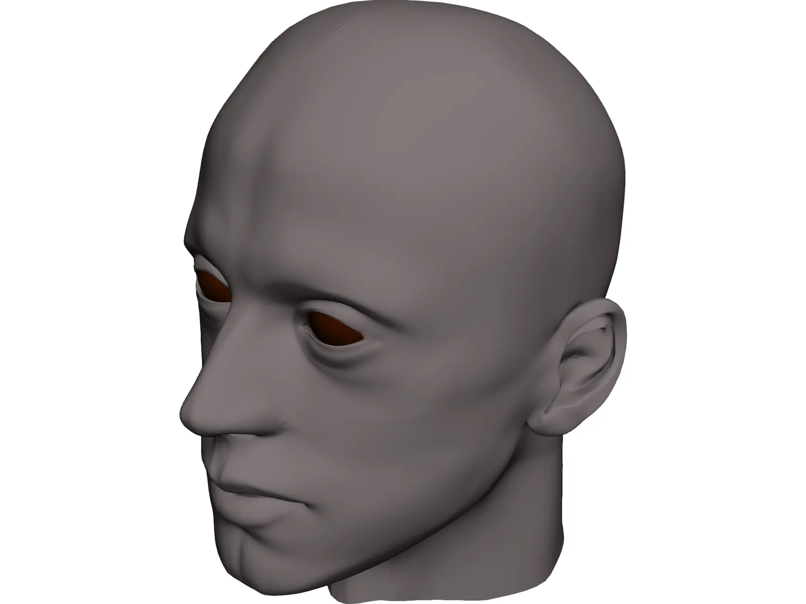 Man Head 3D Model