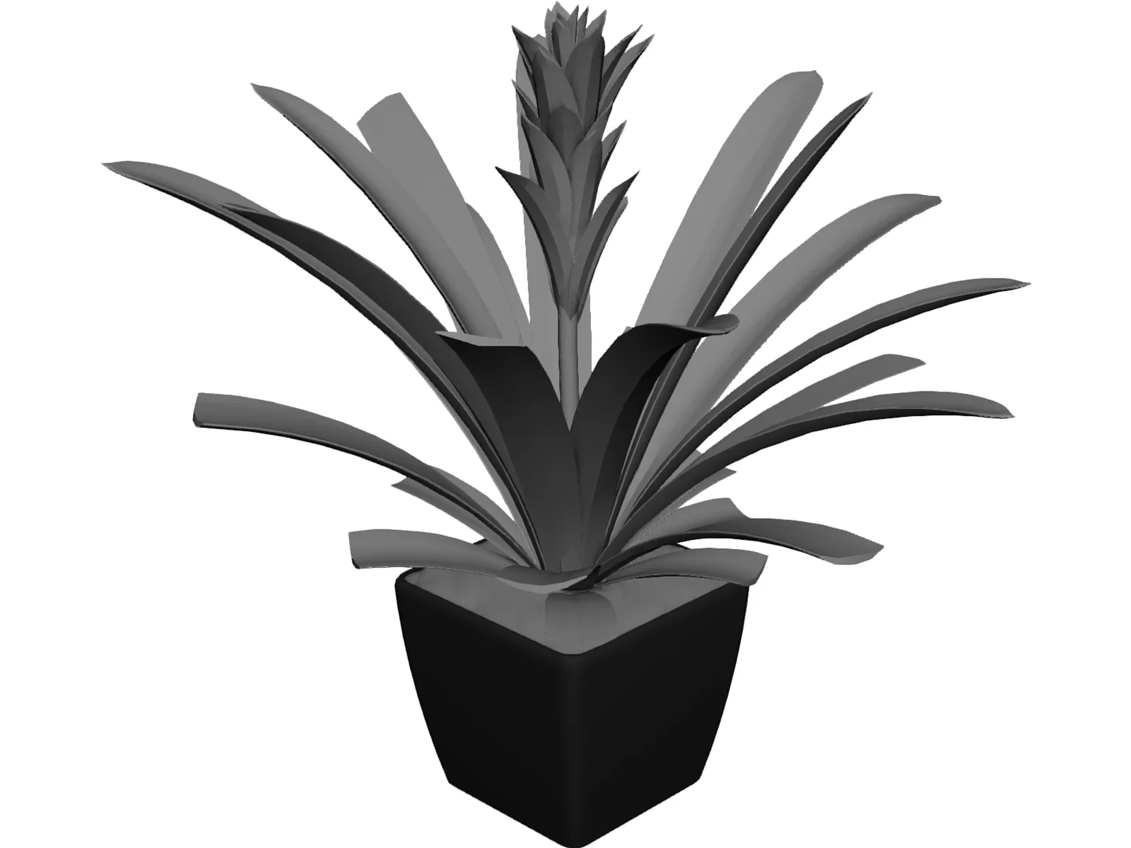 Potted Plant 3D Model