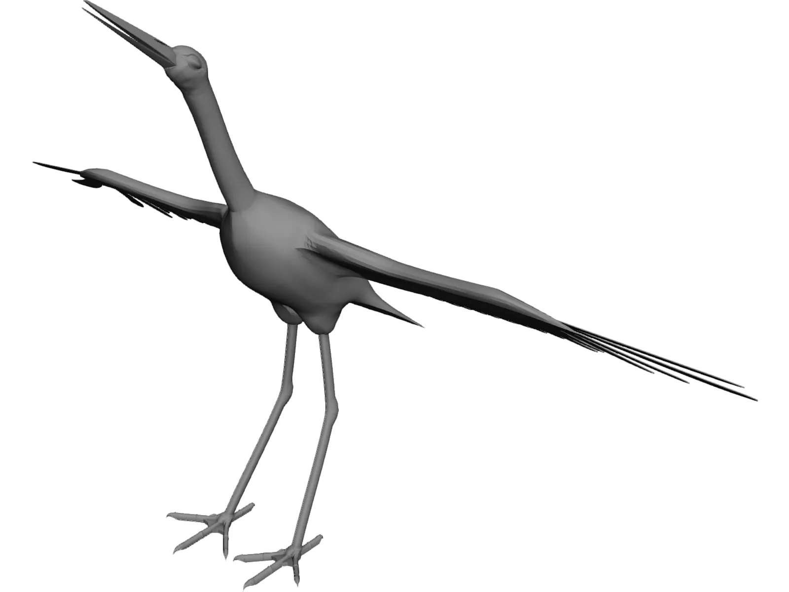 Ciconia Stork 3D Model