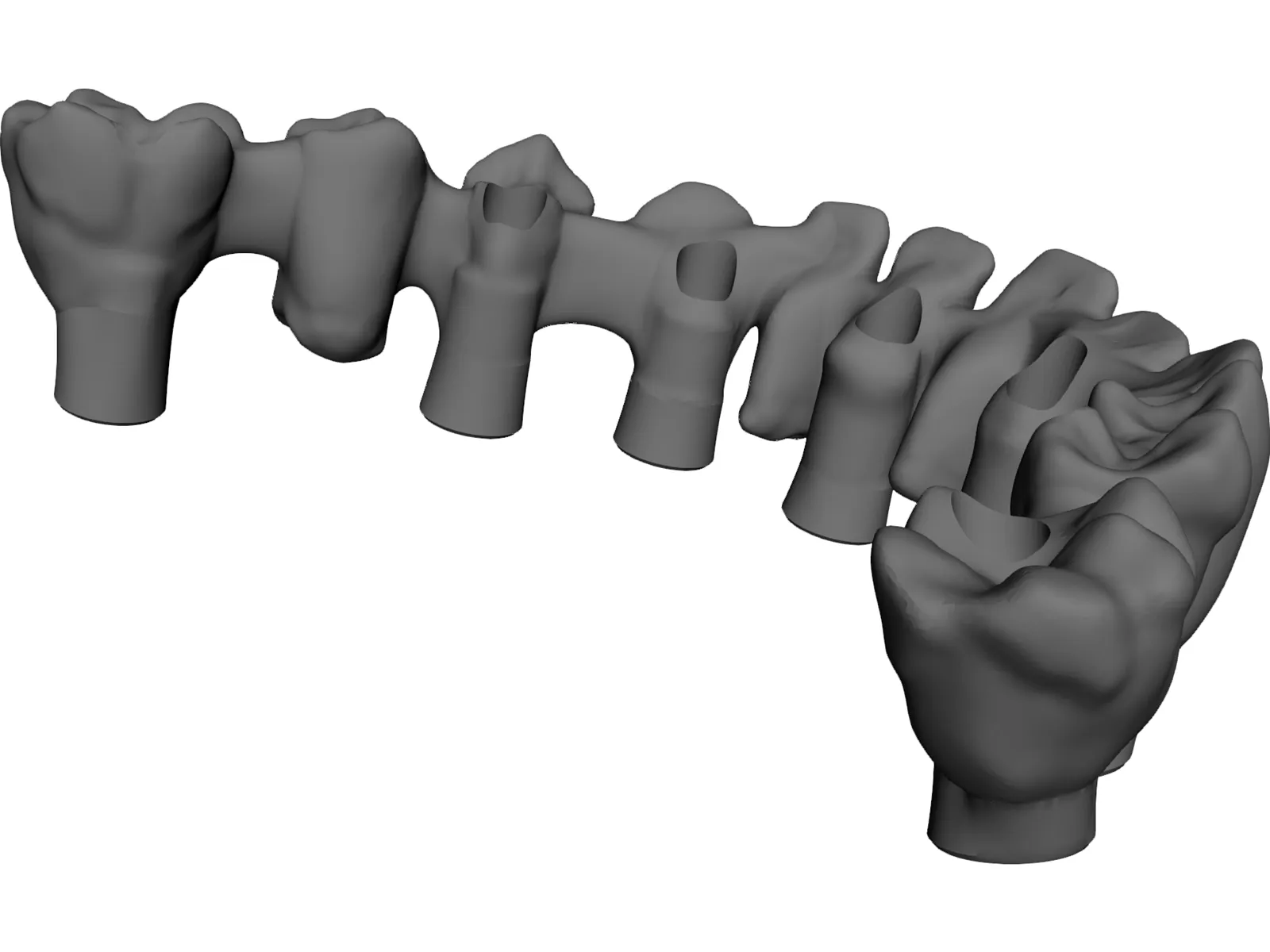 Reduced Mandibula Arcade 3D Model