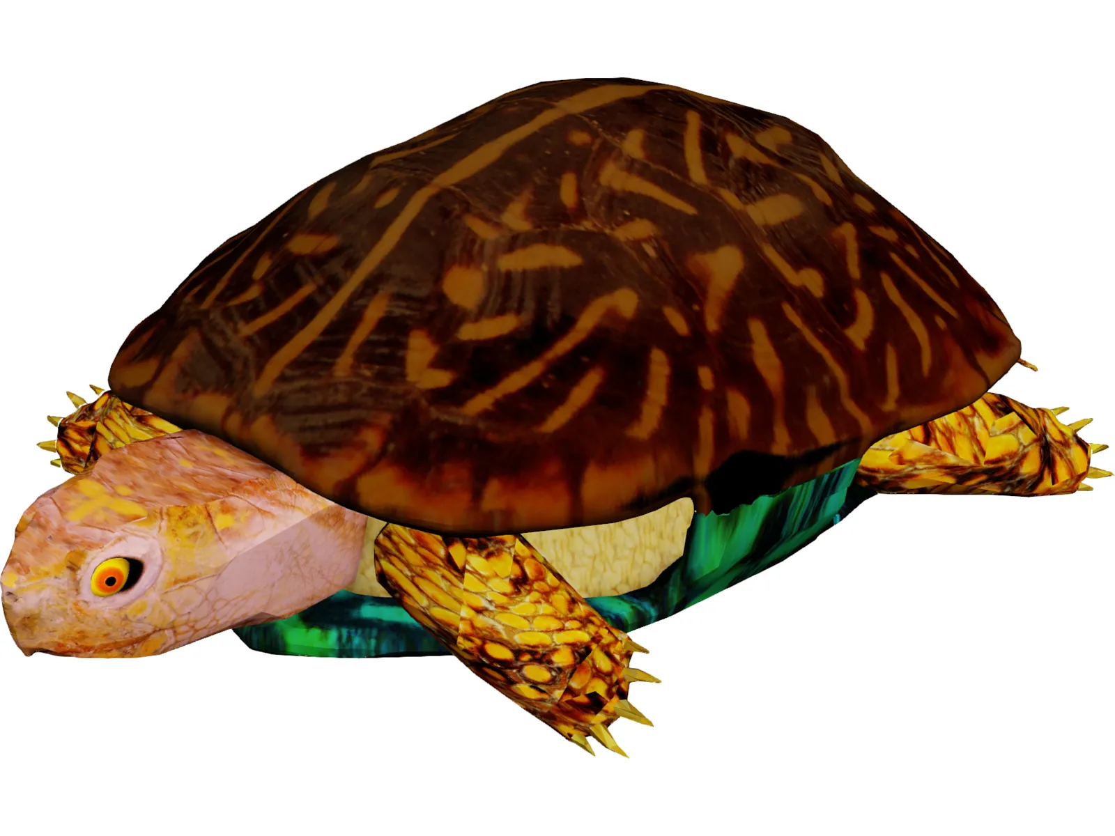 Turtle 3D Model