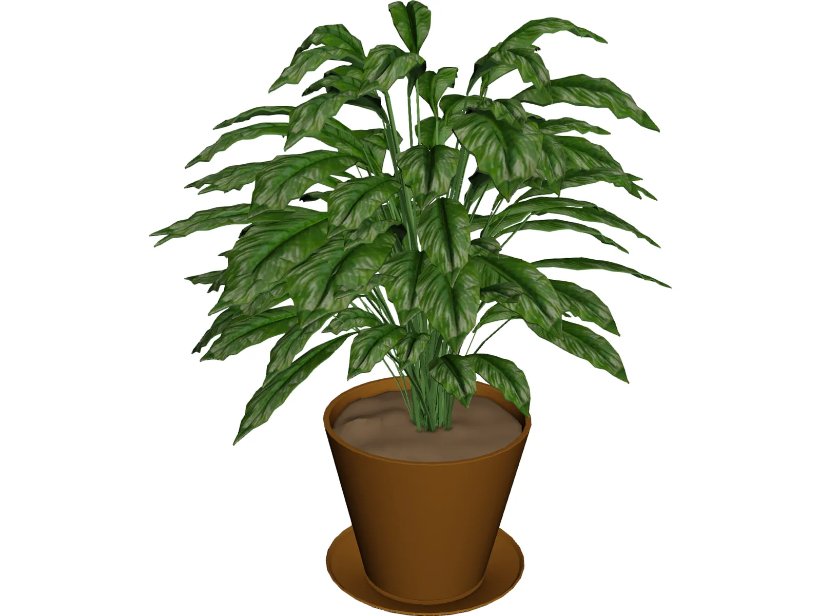 Spathiphyllum 3D Model