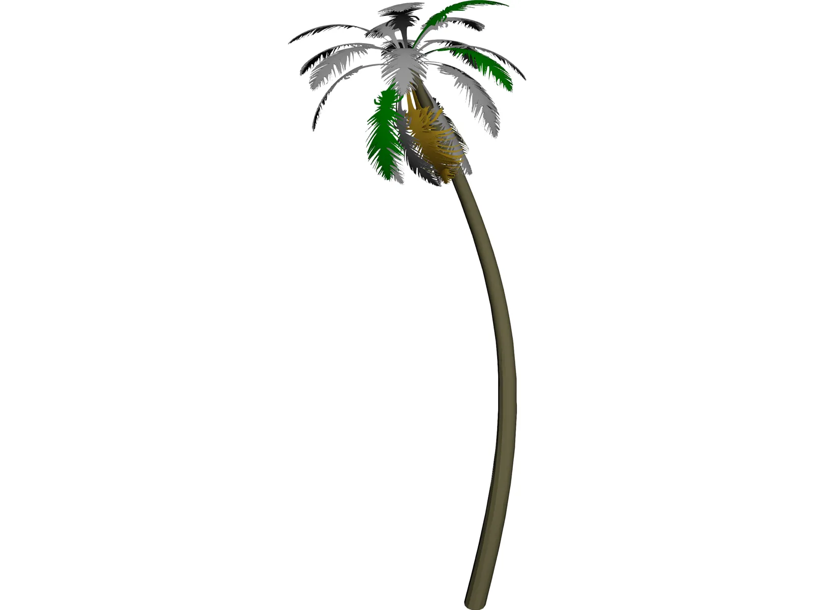 Tree Palm 3D Model