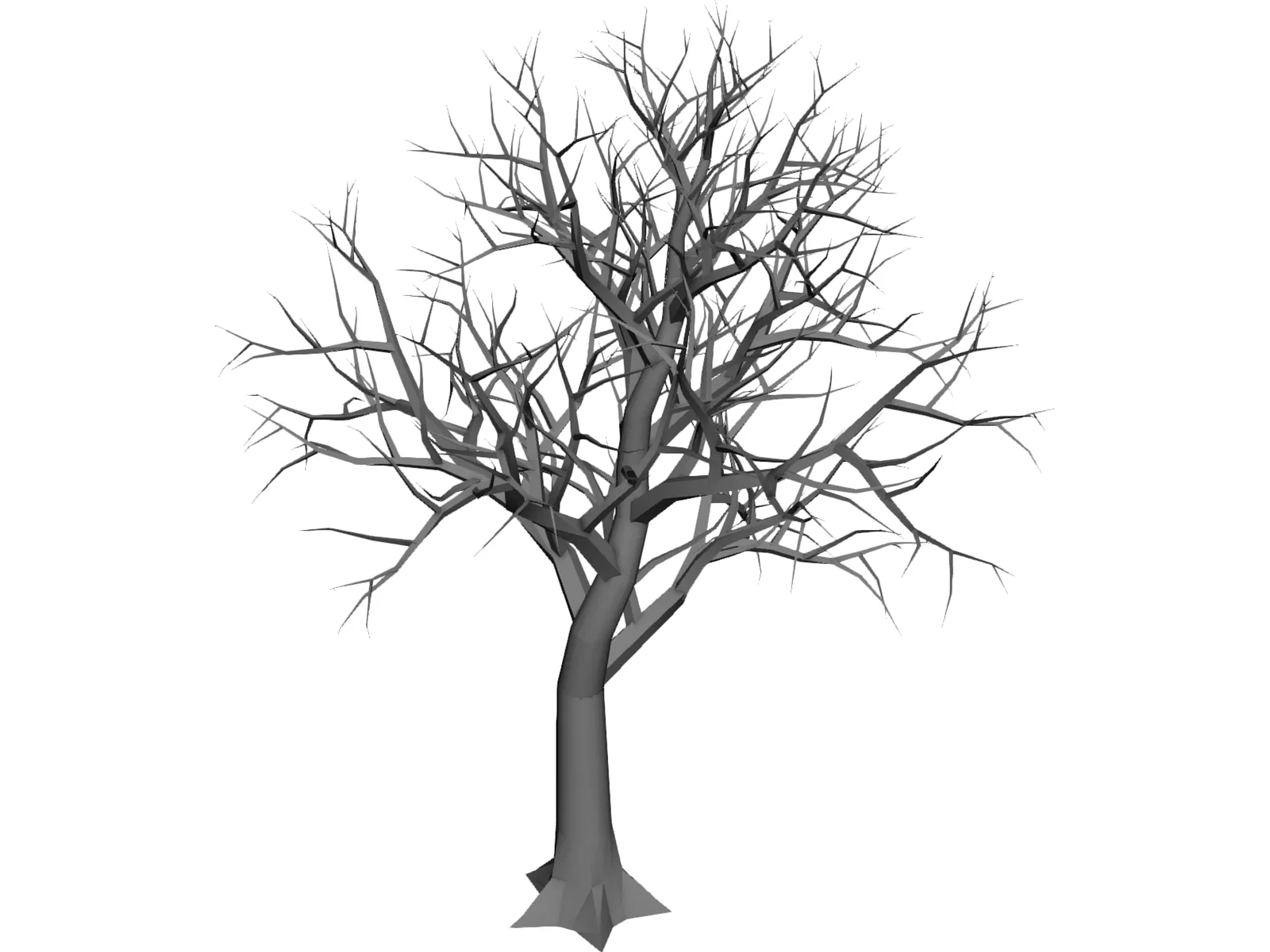 Tree 3D Model