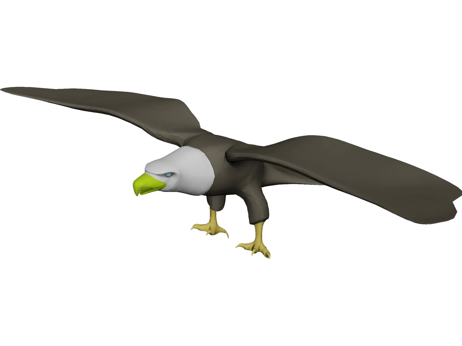 Eagle Bald 3D Model