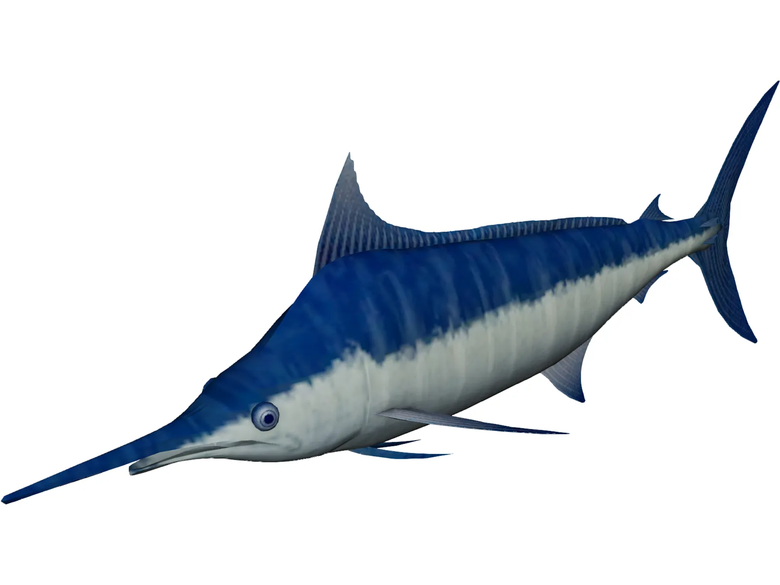 Marlin Blue 3D Model