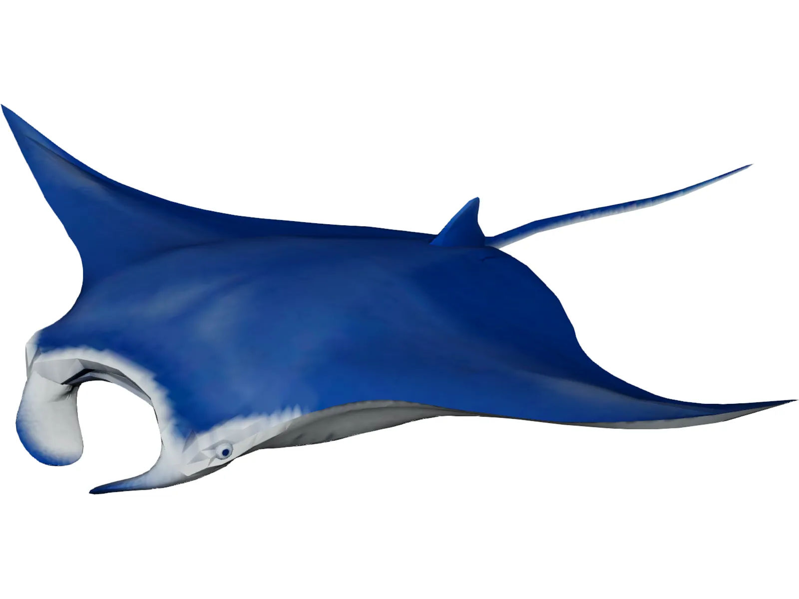 Manta Ray 3D Model