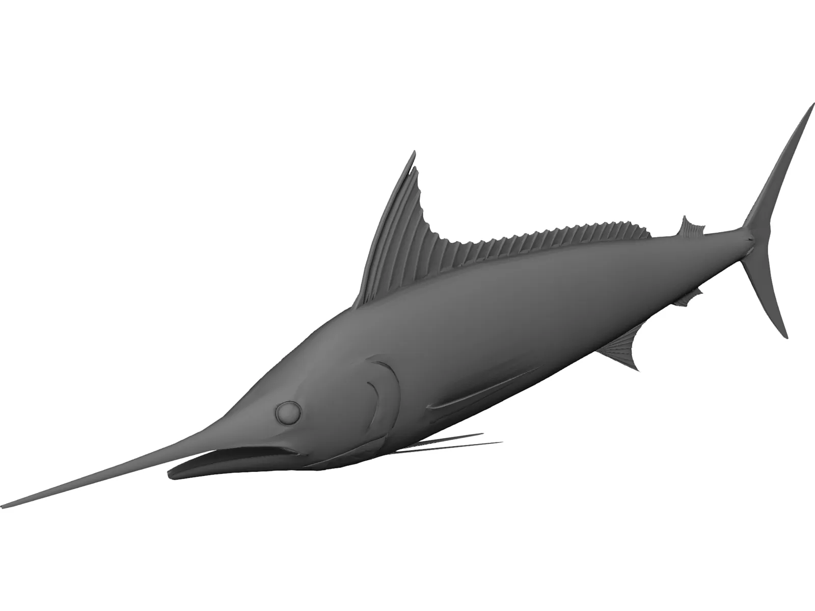 Marlin 3D Model