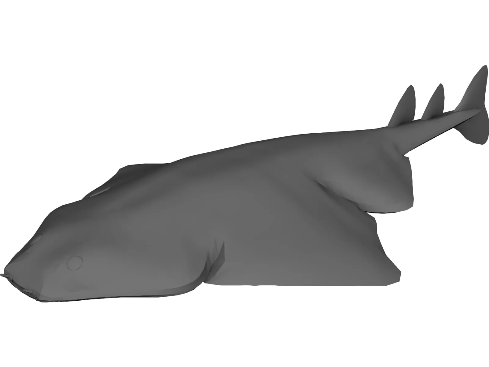 Angel Shark 3D Model