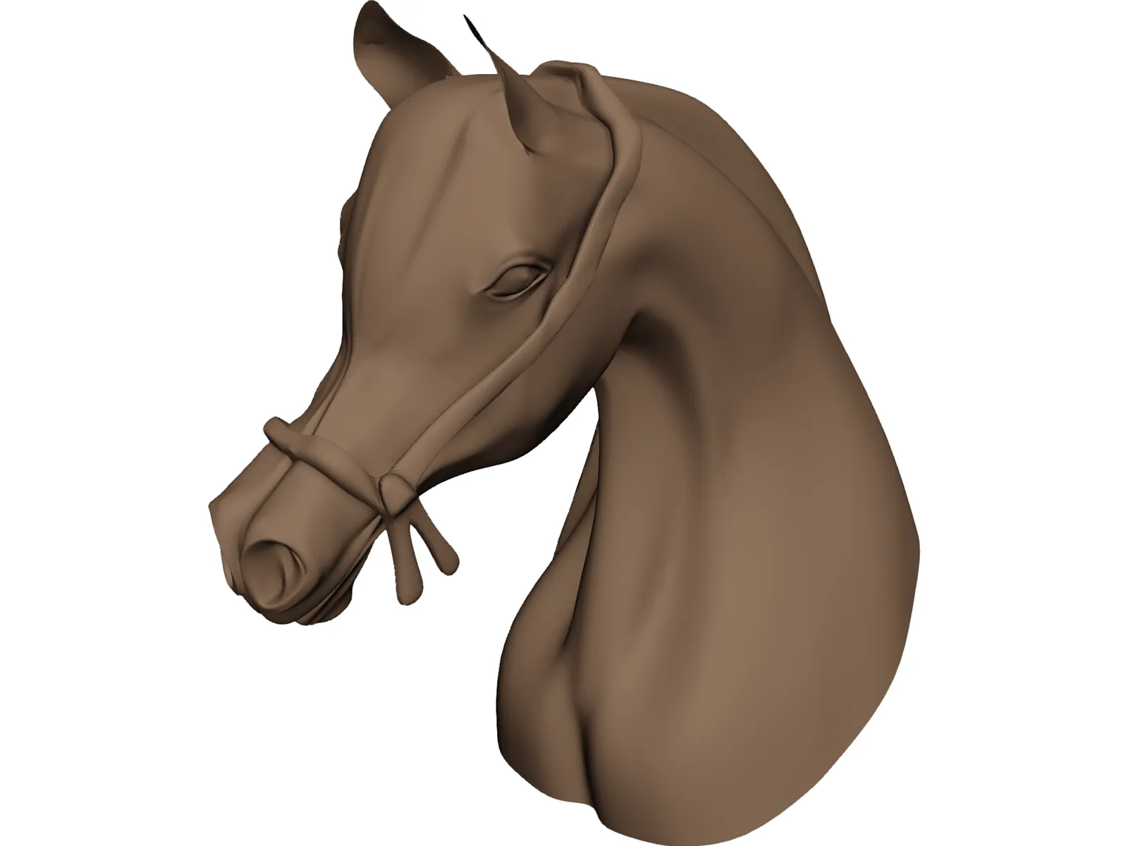 Horse Head Arabian 3D Model