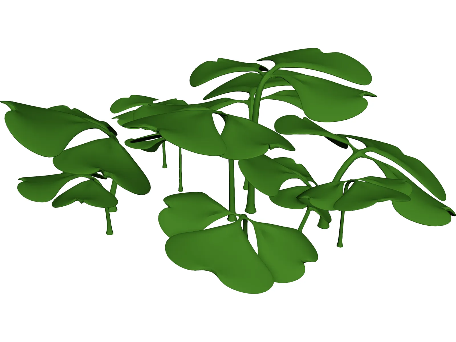 Clover Patch 3D Model