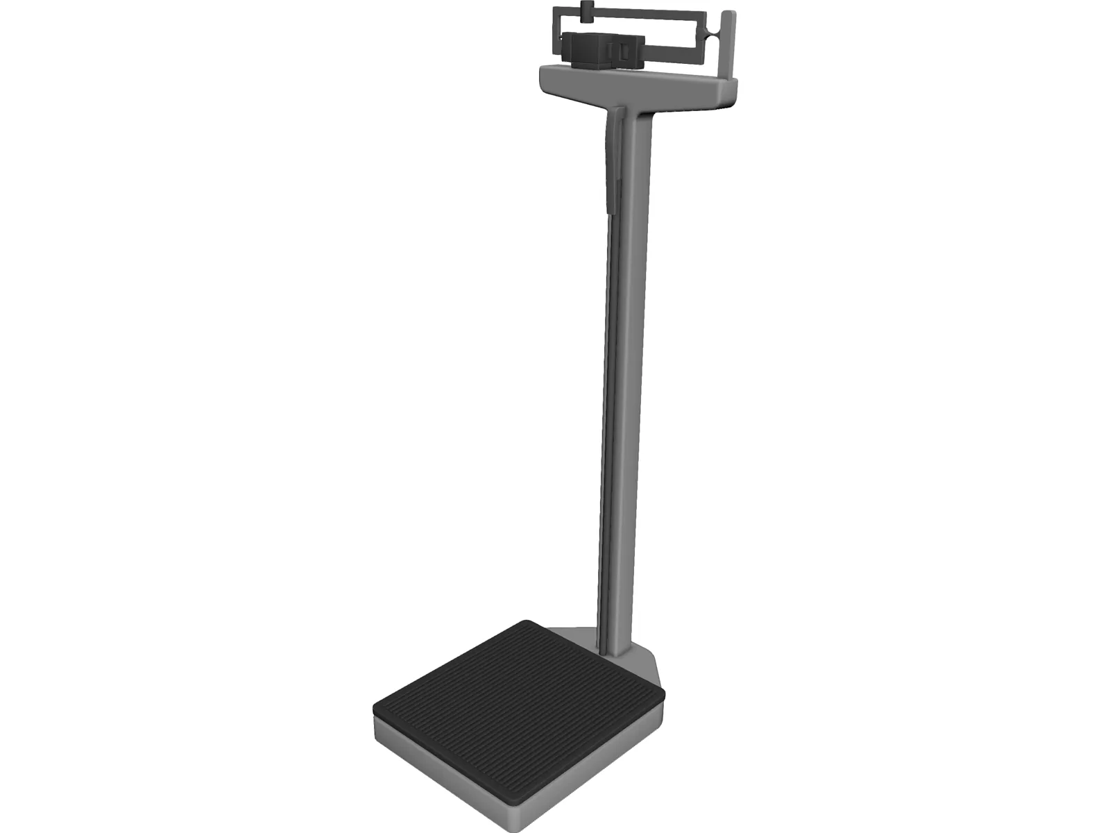 Scale 3D Model