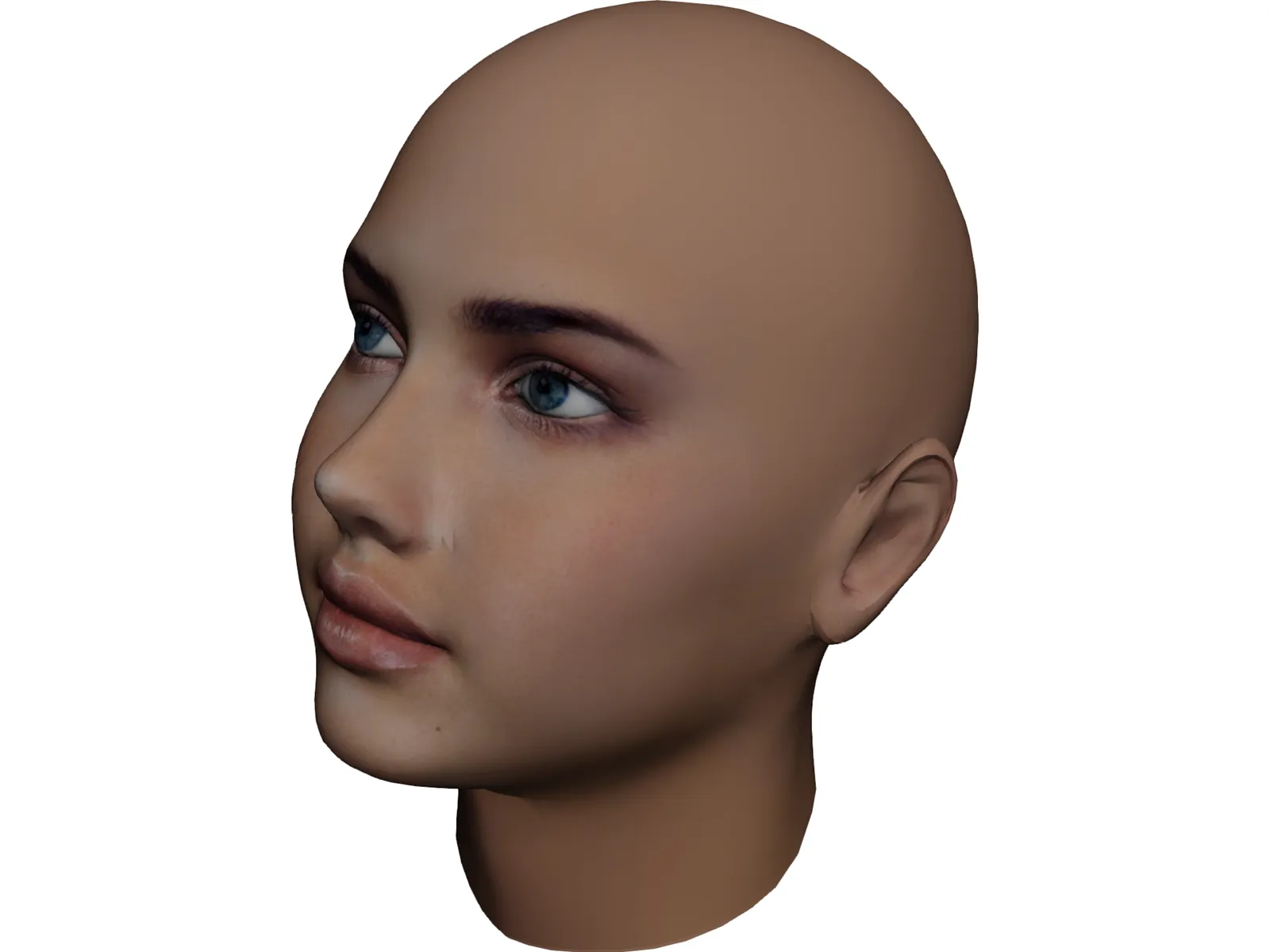 Woman Head 3D Model