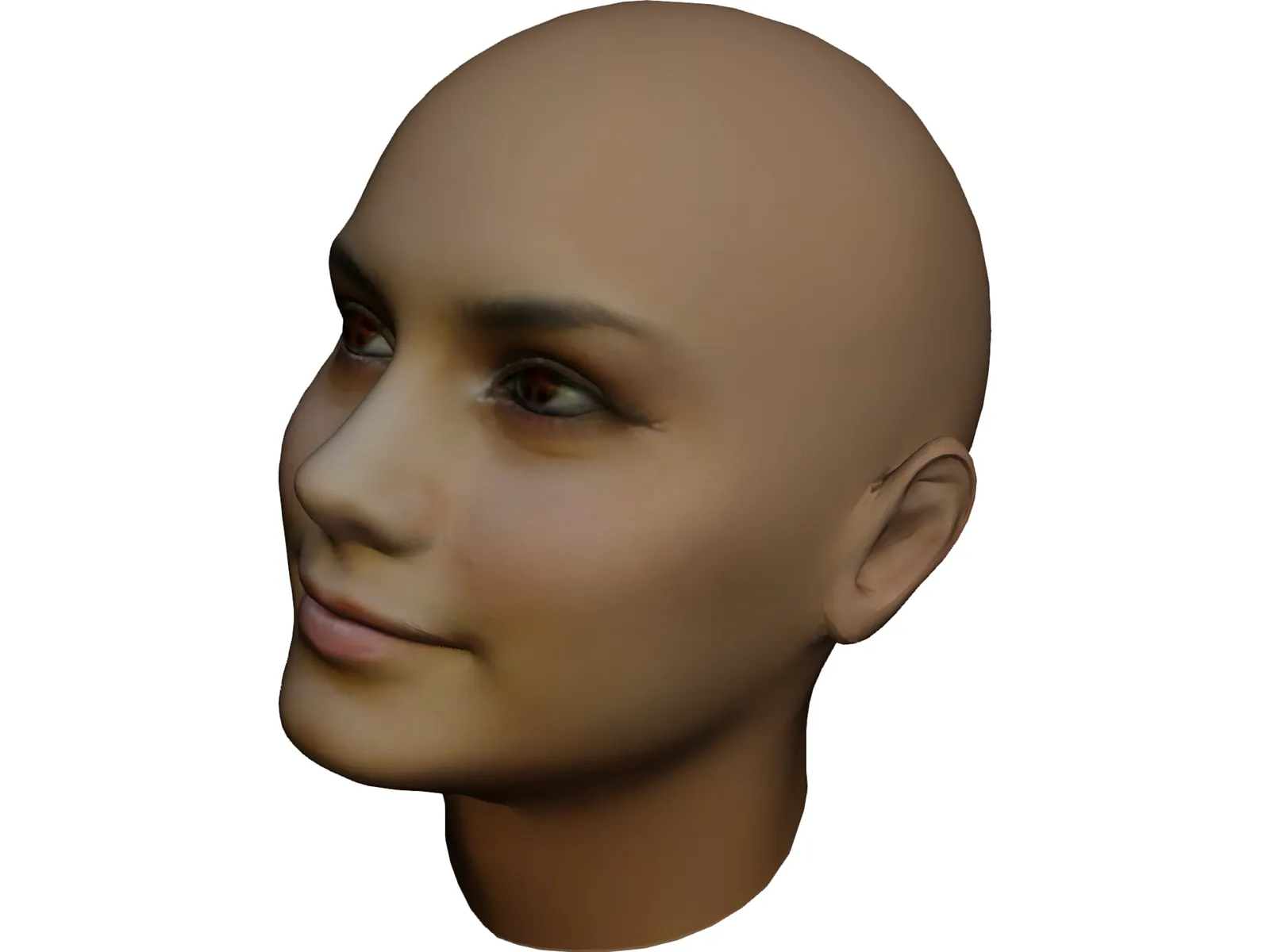 Mannequin Head 3D model