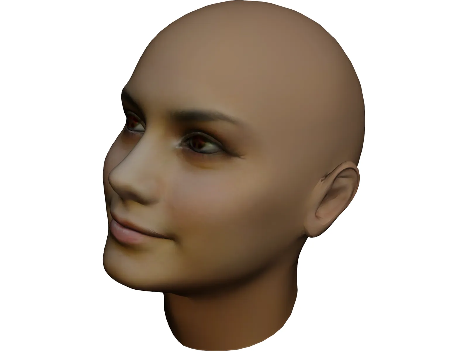 Woman Head 3D Model