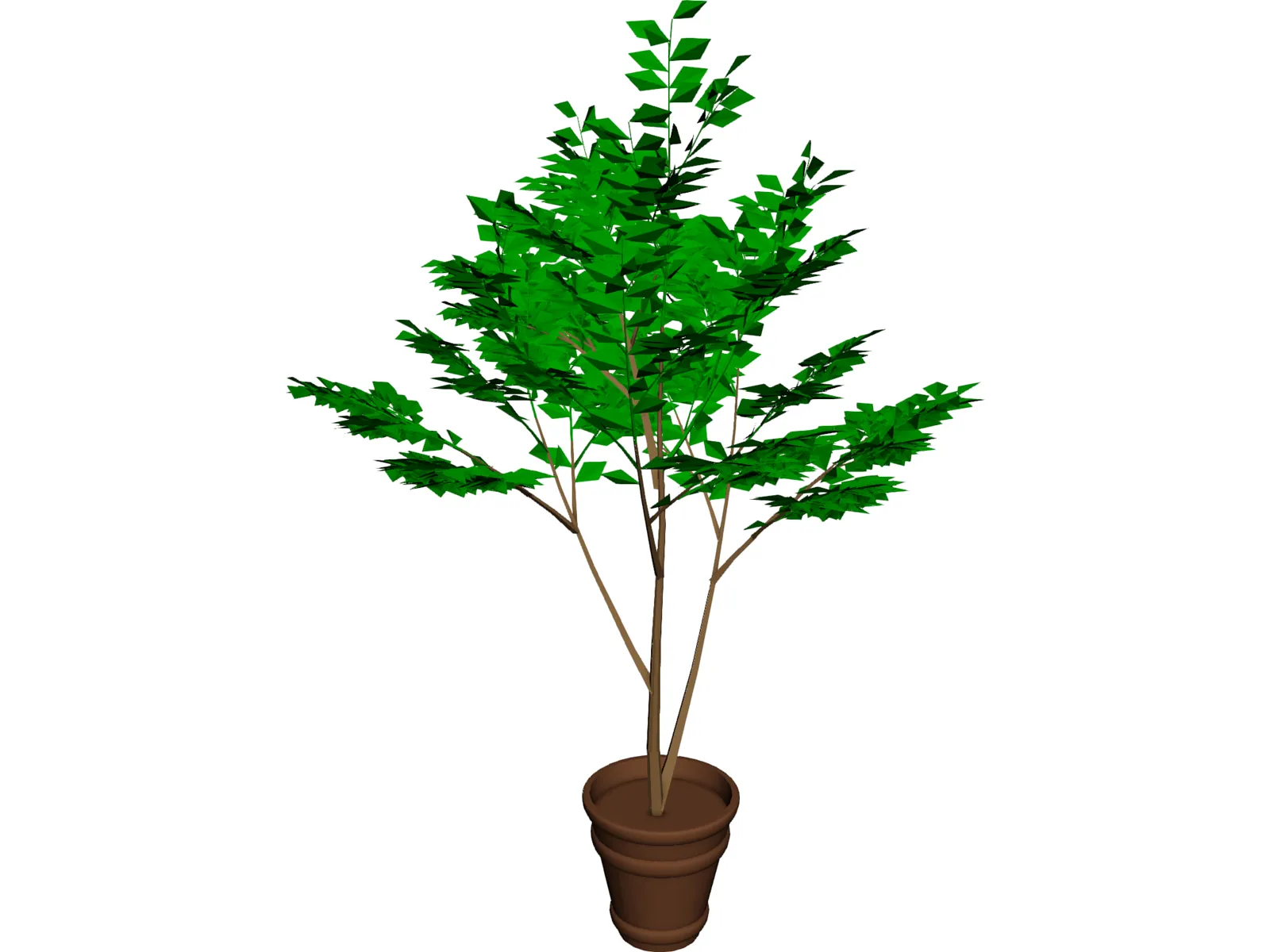 Potted Tree 3D Model