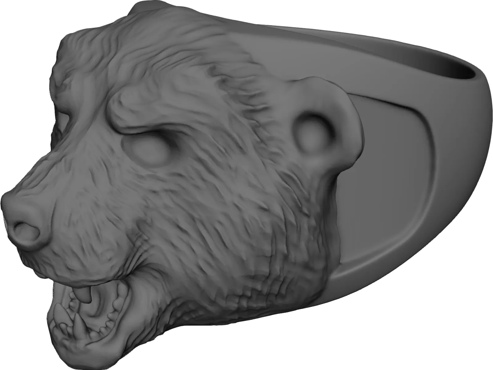 Ring Bear 3D Model