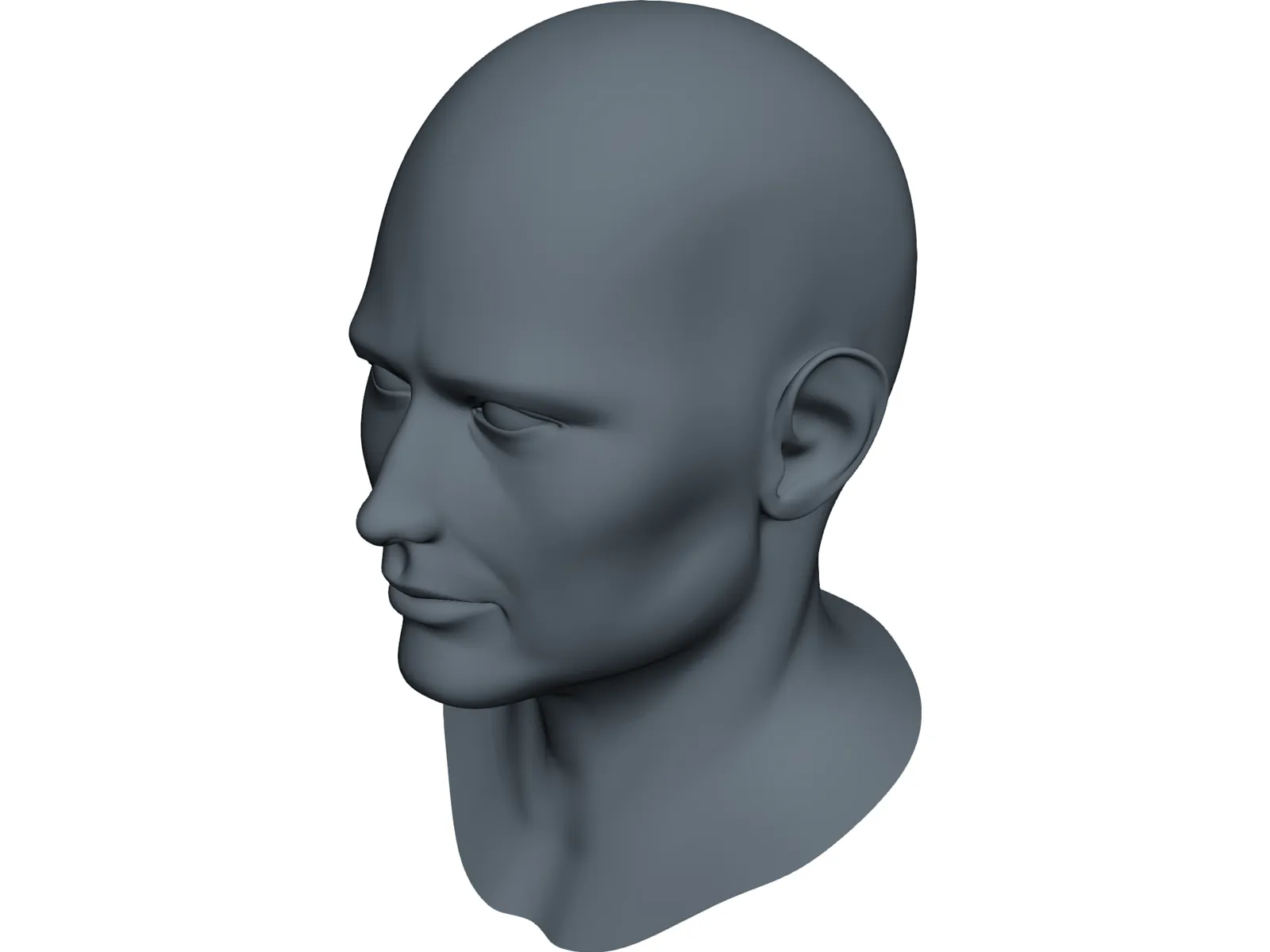 Human Face 3D Model