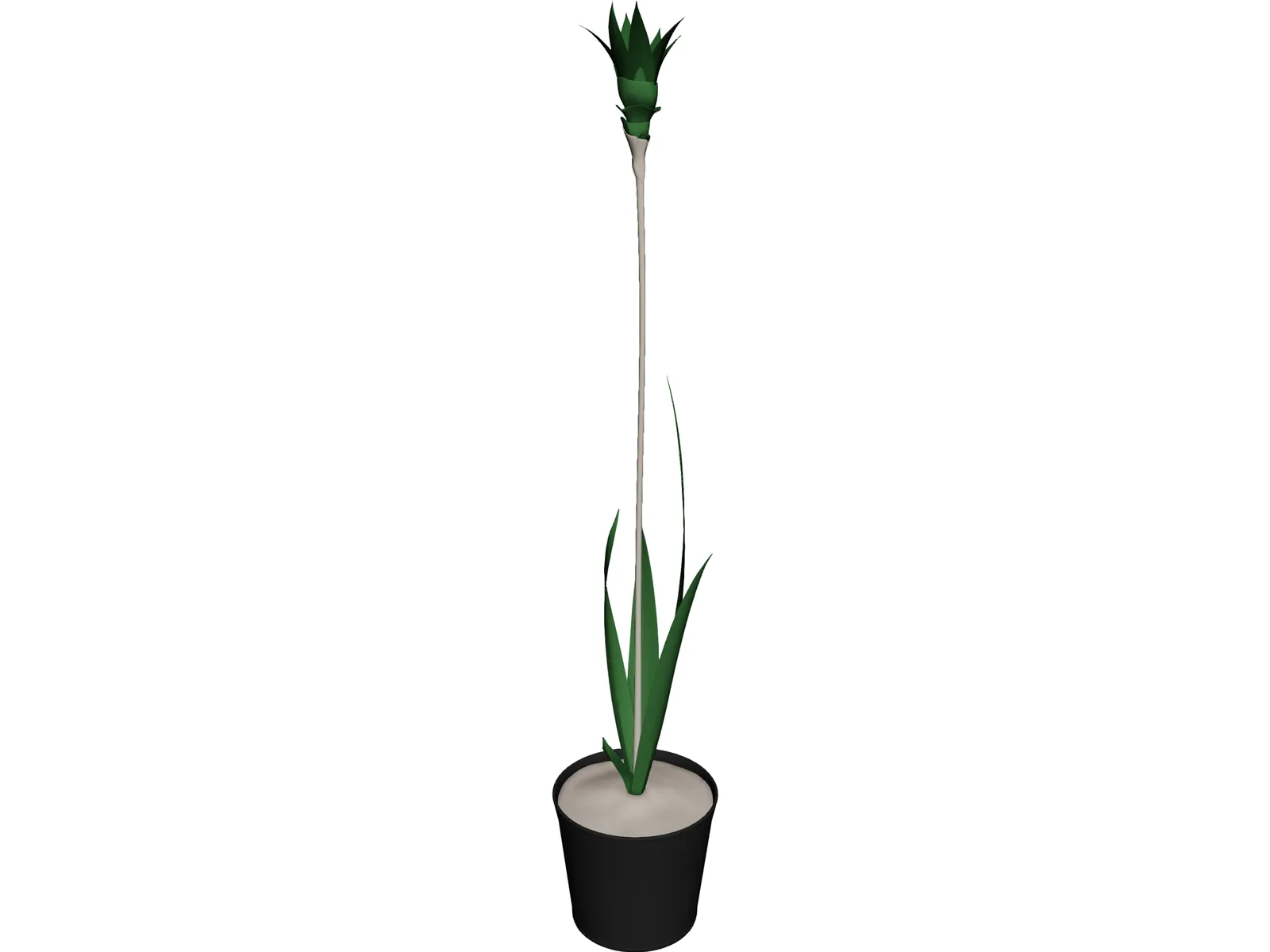 Potted Plant 3D Model