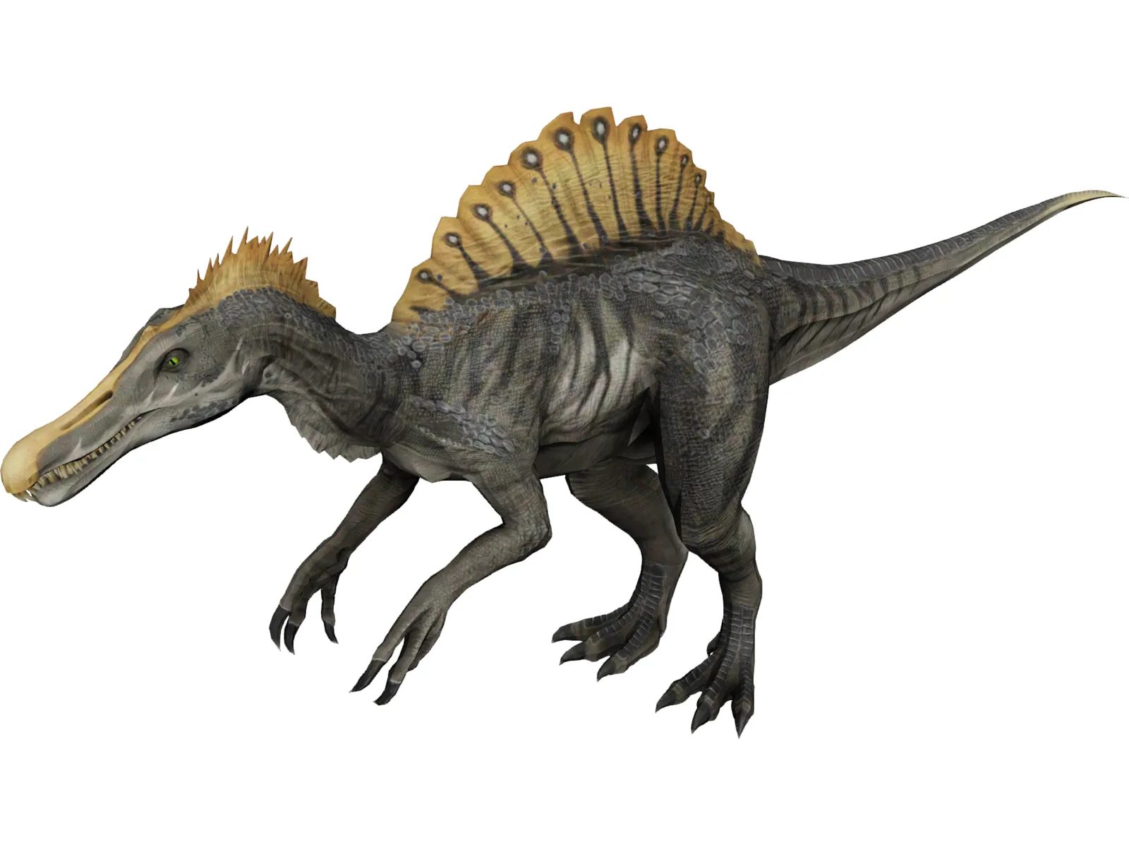 Spinosaurus 3D Model