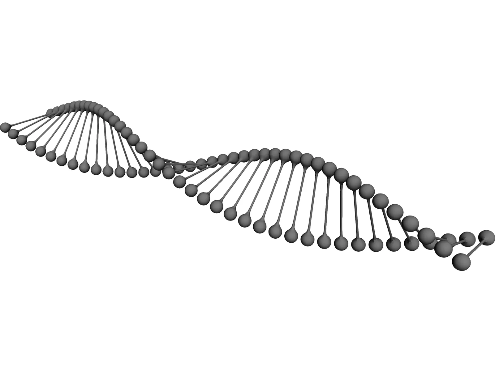 DNA 3D Model