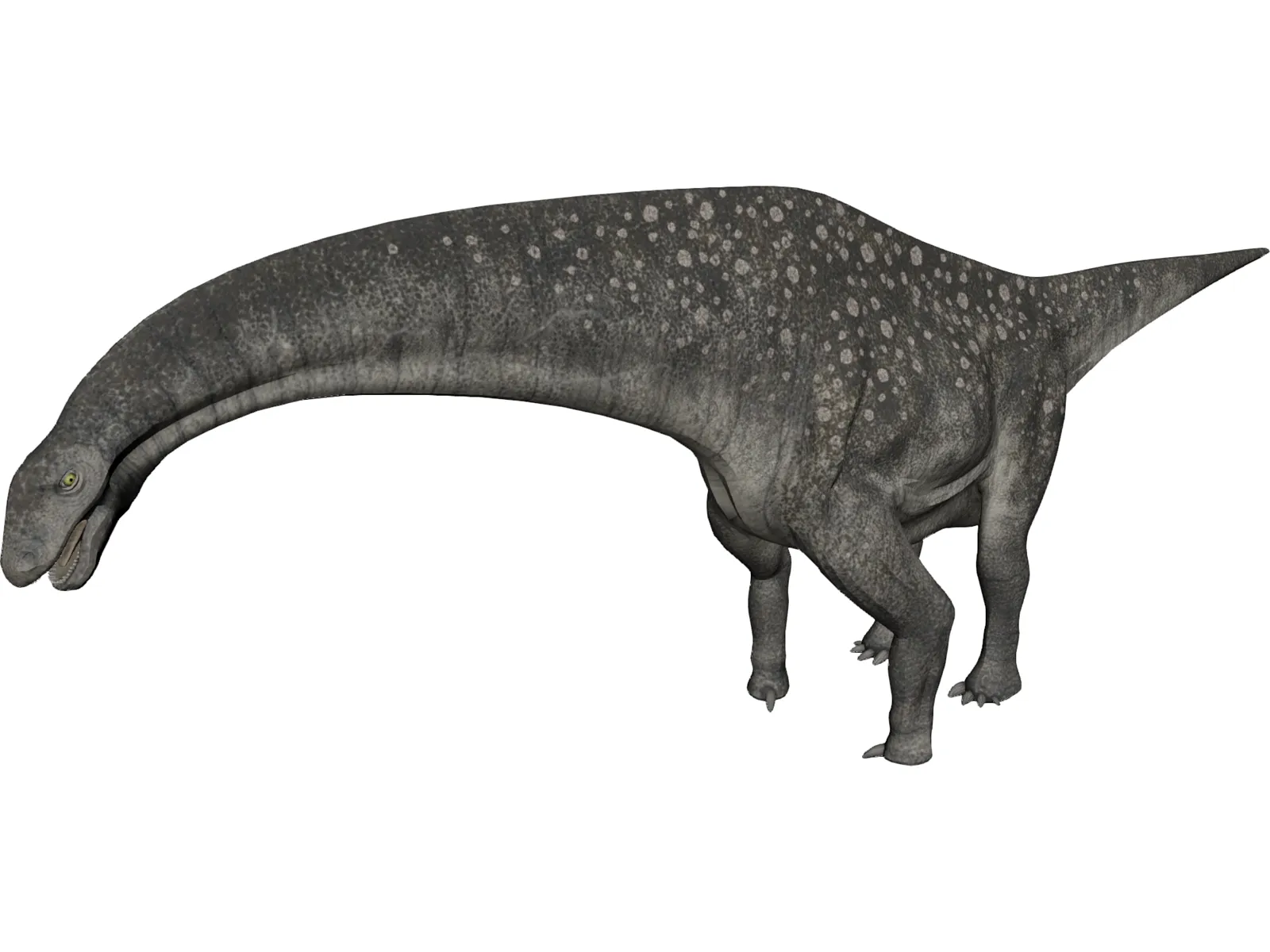 Titanosaurus 3D Model