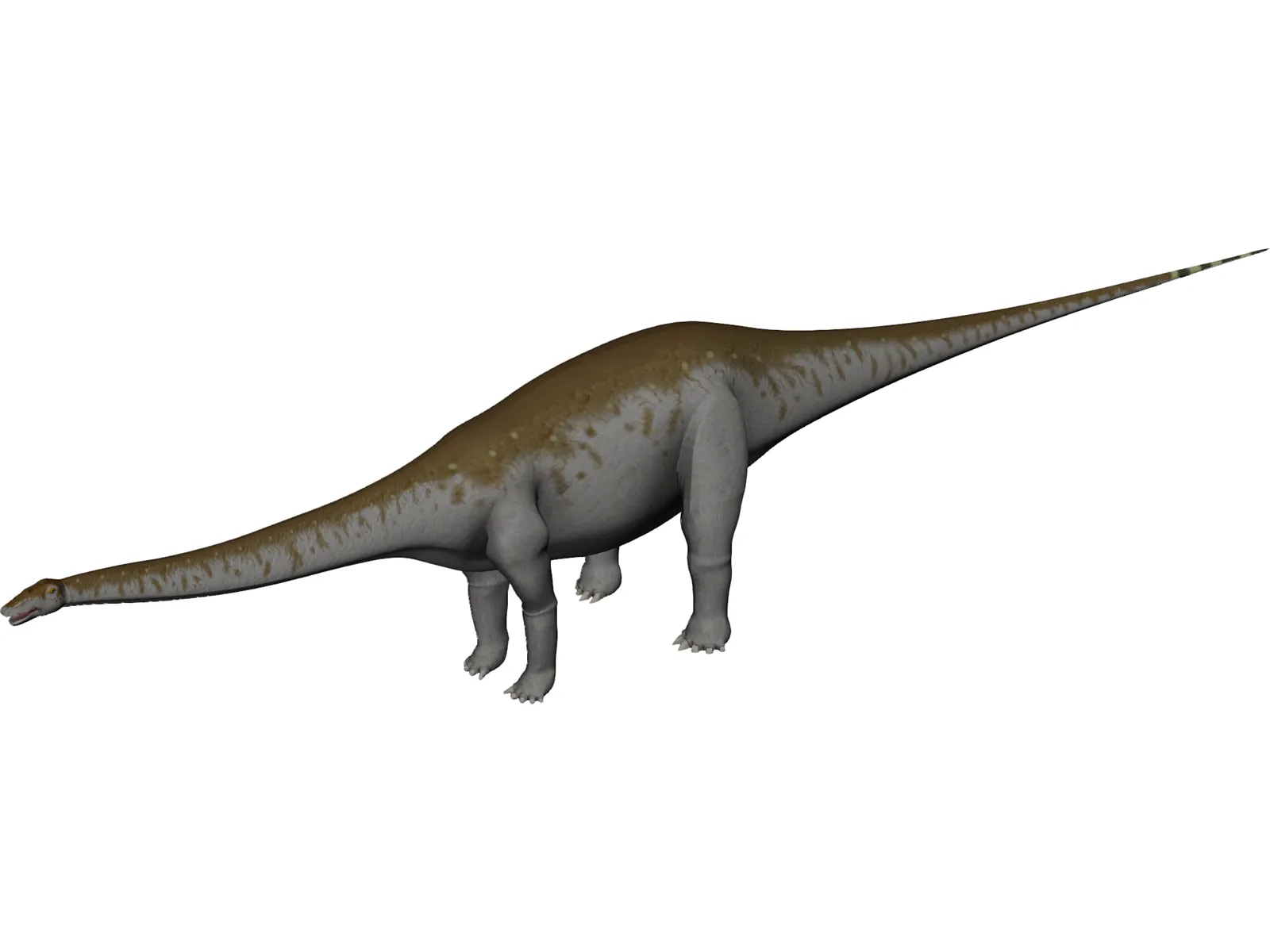 Apatosaurus 3D Model