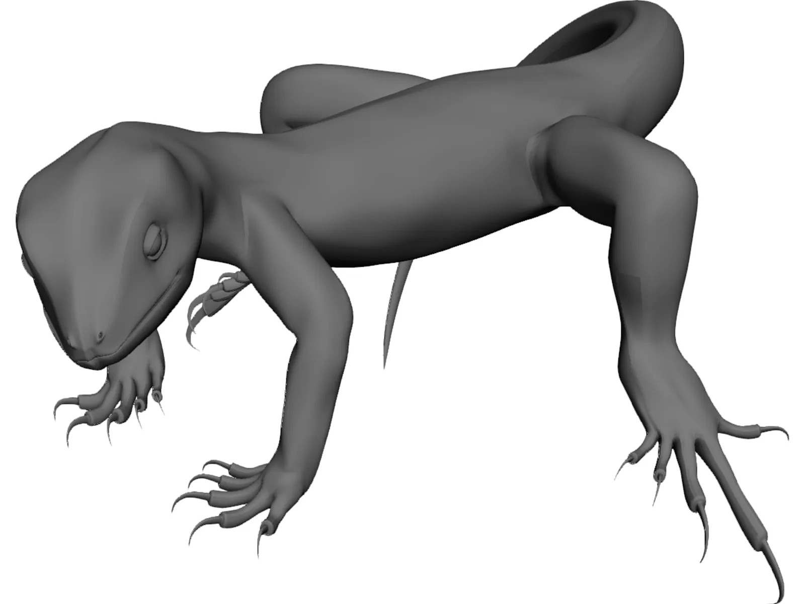 Lizard 3D Model