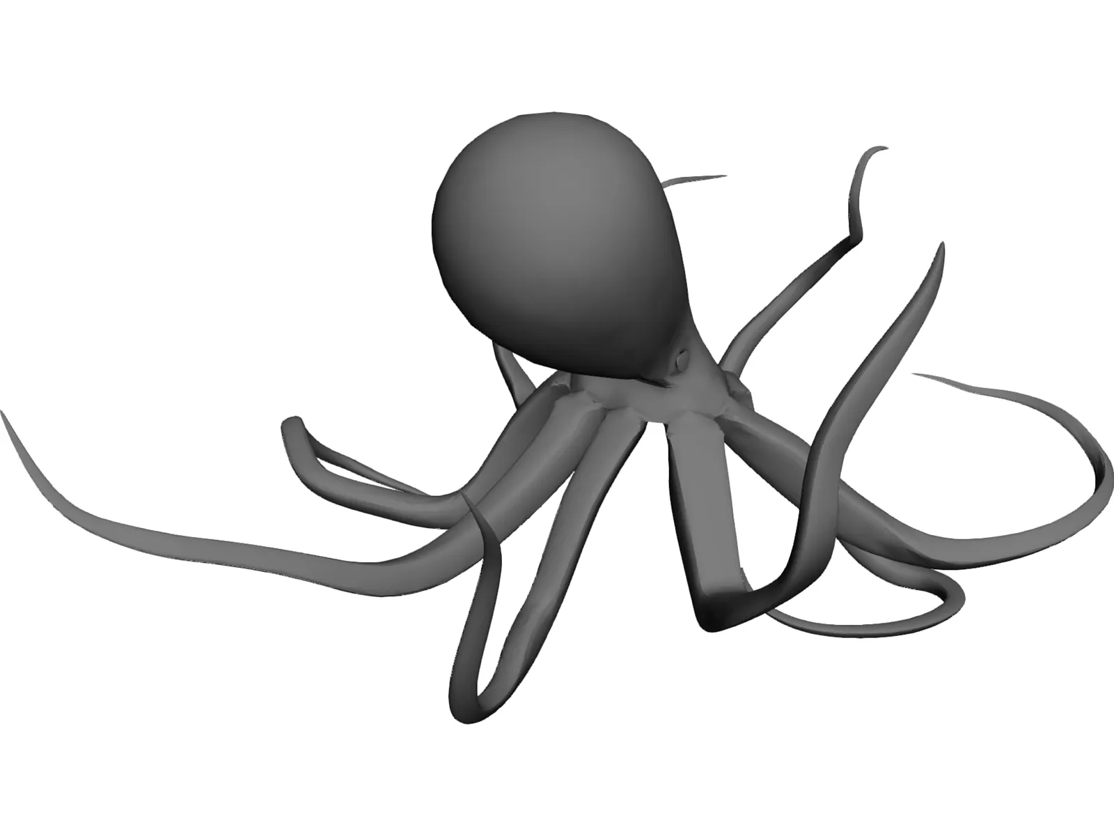 Octopus 3D Model