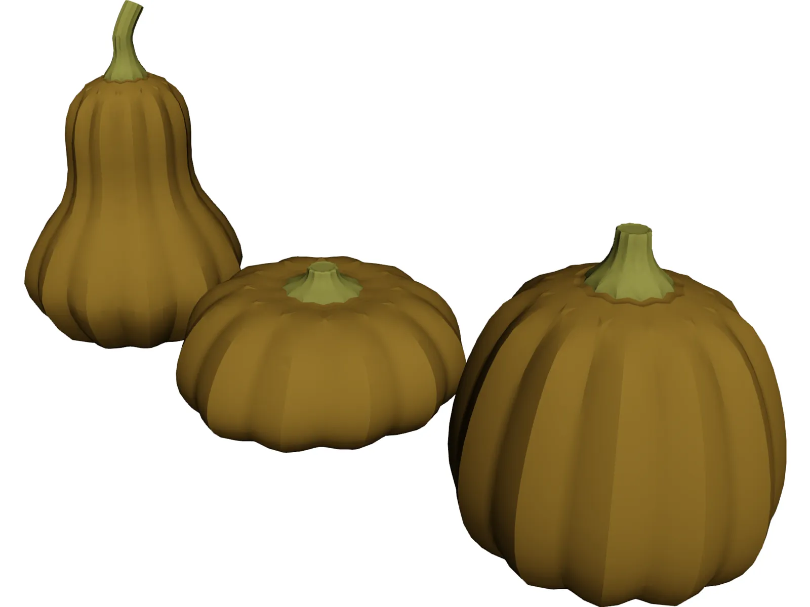 Squash 3D Model