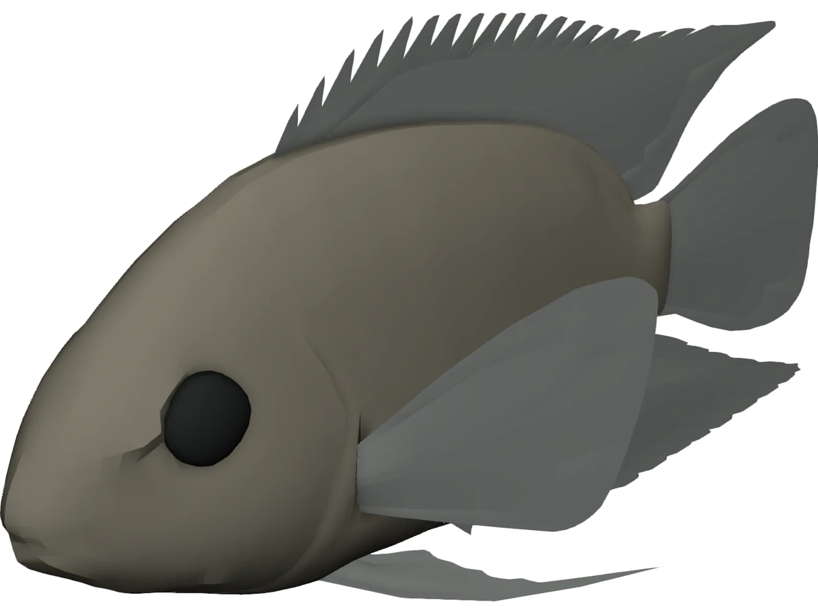 Cichlid 3D Model