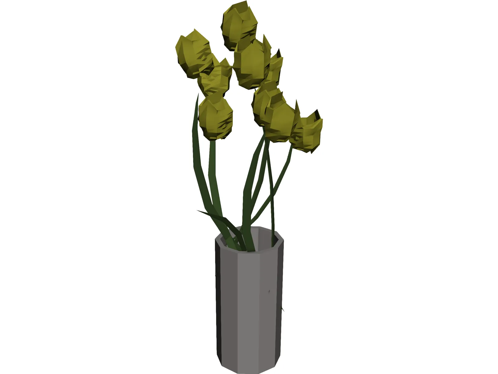 Tulips In Vase 3D Model