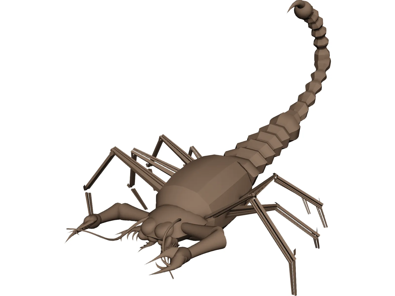 Scorpion 3D Model