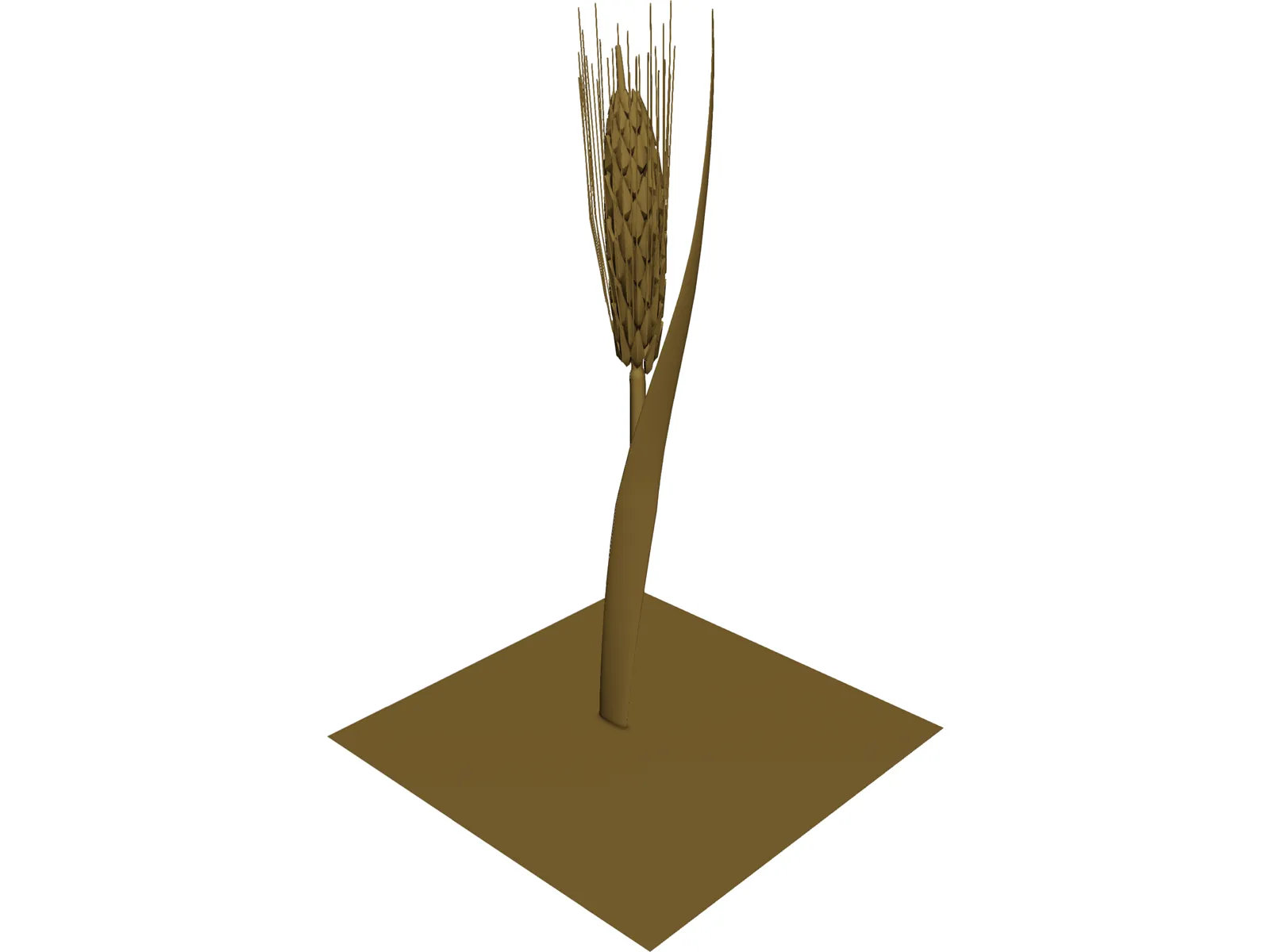 Dried Barley 3D Model