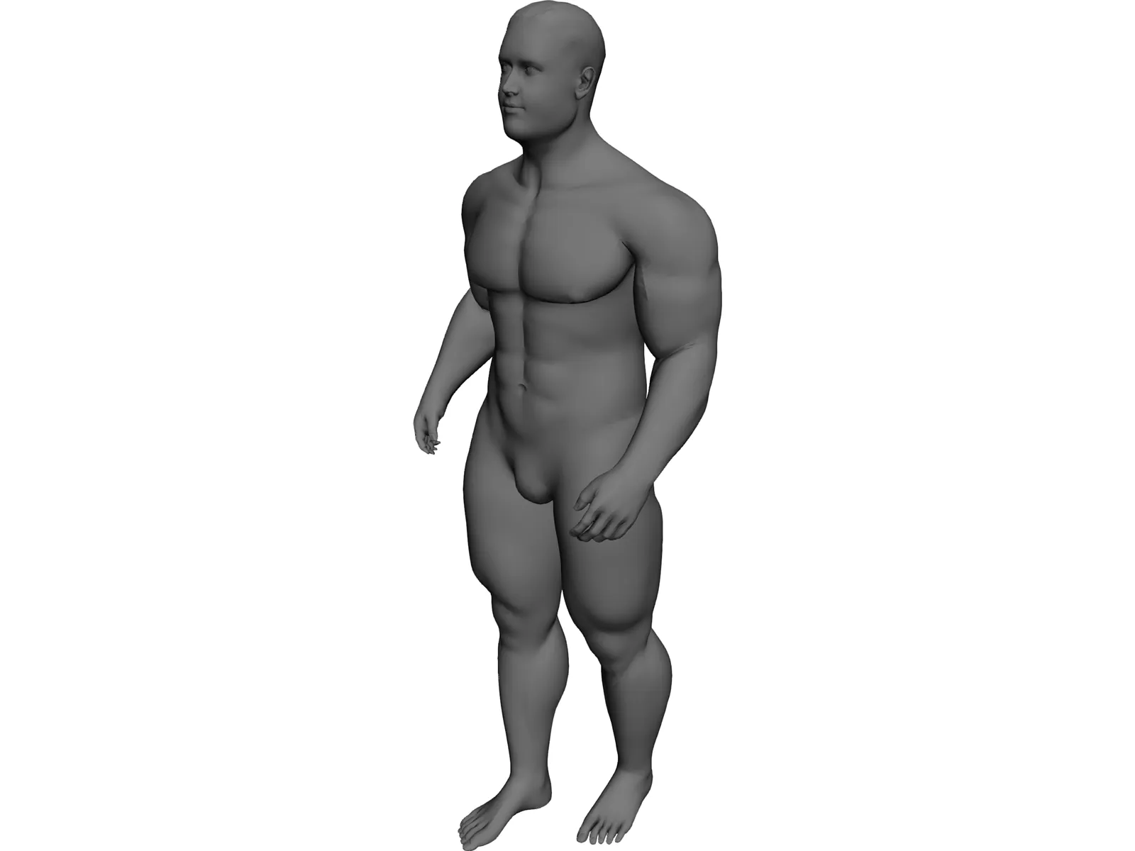 Body Builder 3D Model