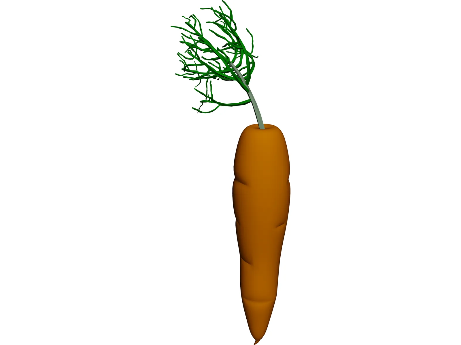 Carrot 3D Model